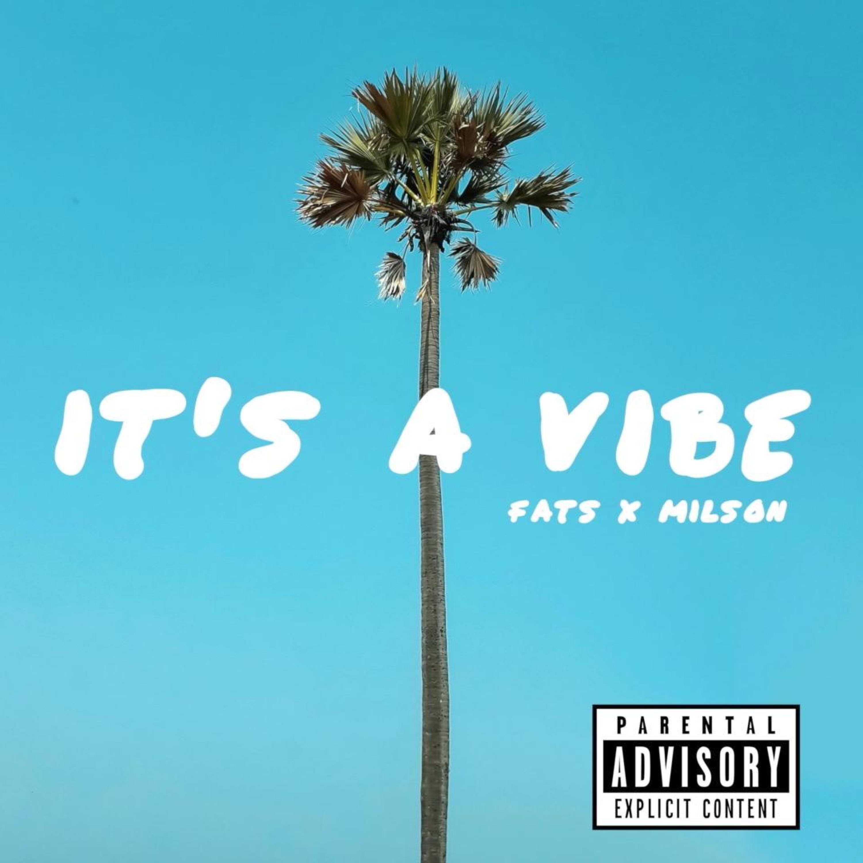 Релиз It's a Vibe