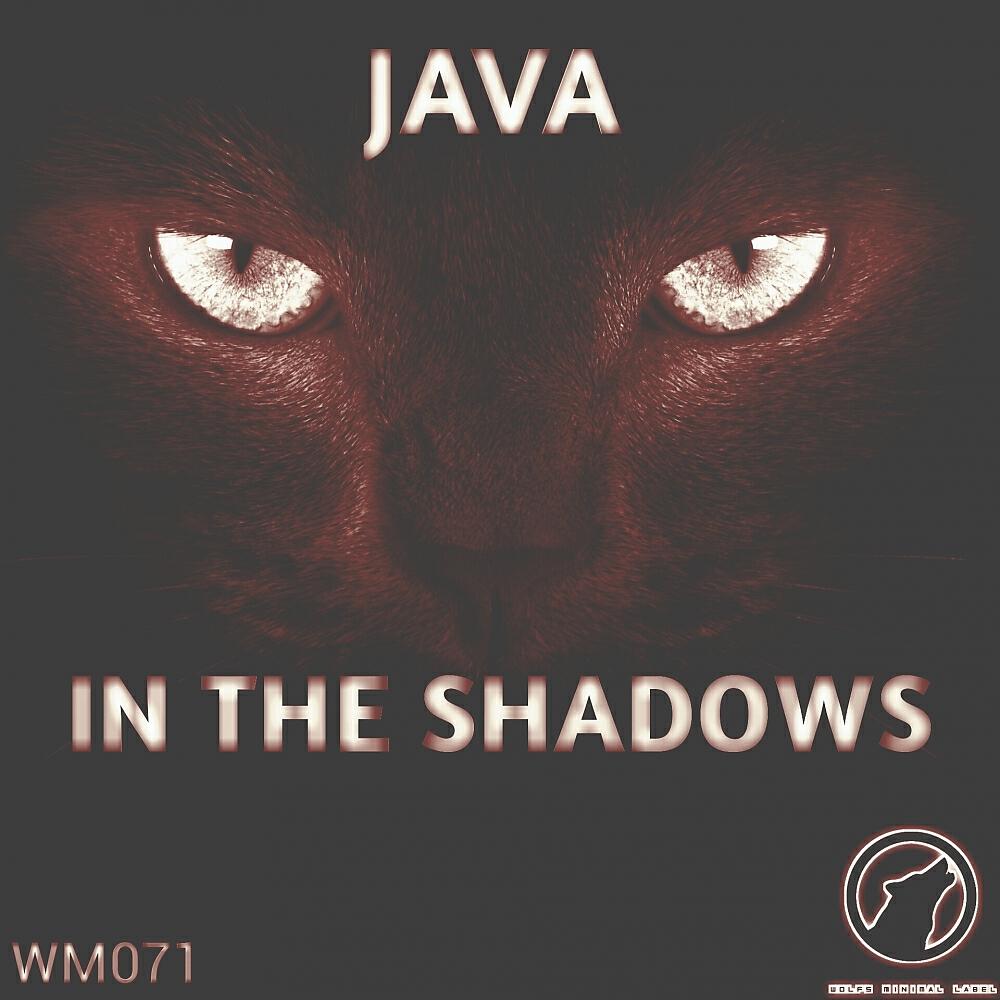 Релиз In The Shadows