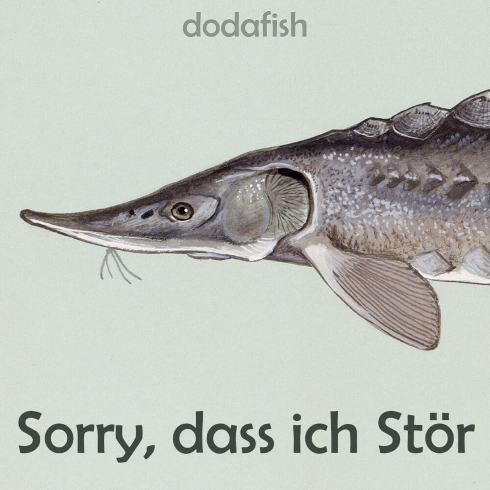 Релиз Sorry, Dass Ich Stör
