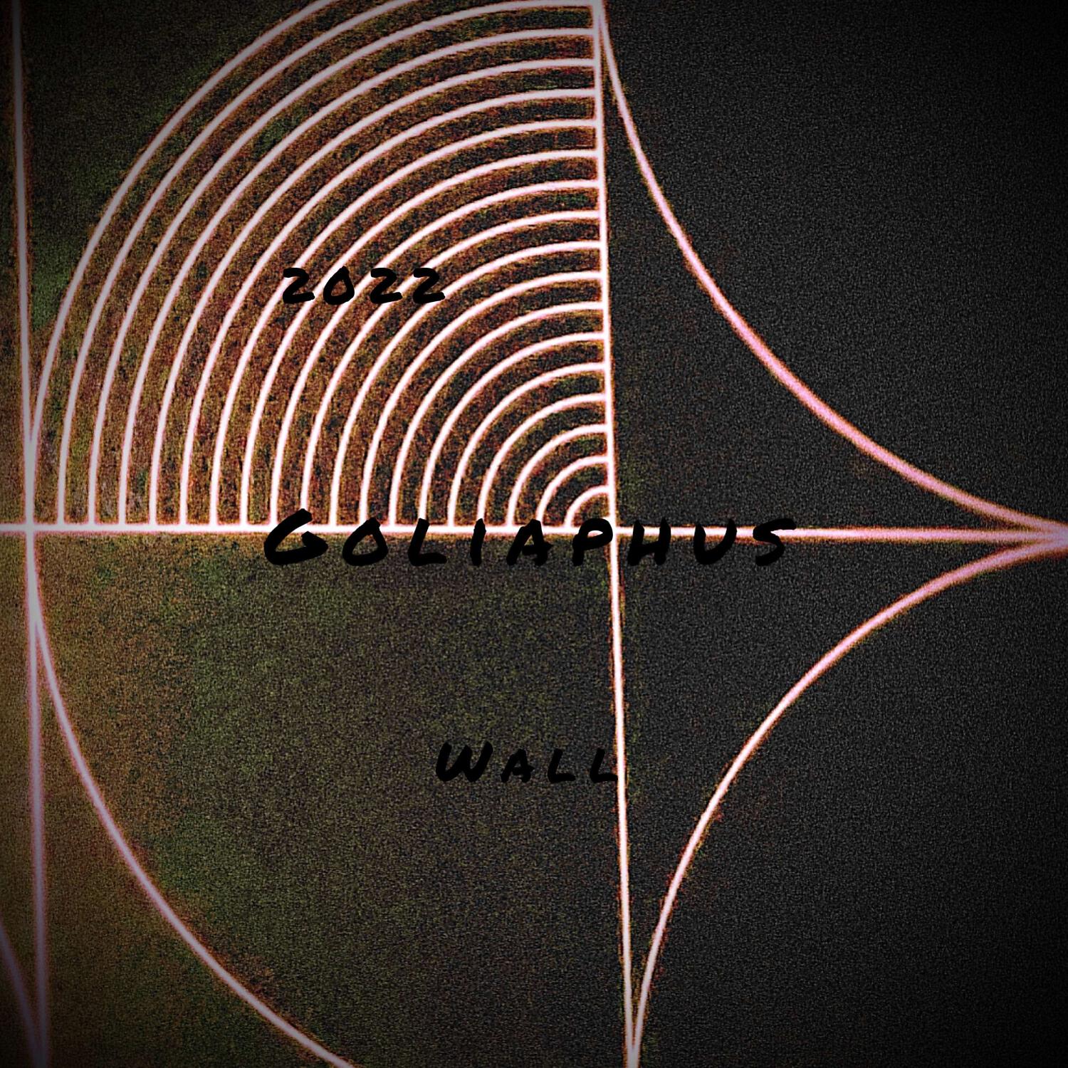 Релиз Wall
