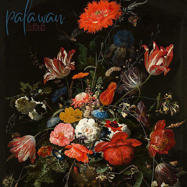 Релиз Palawan