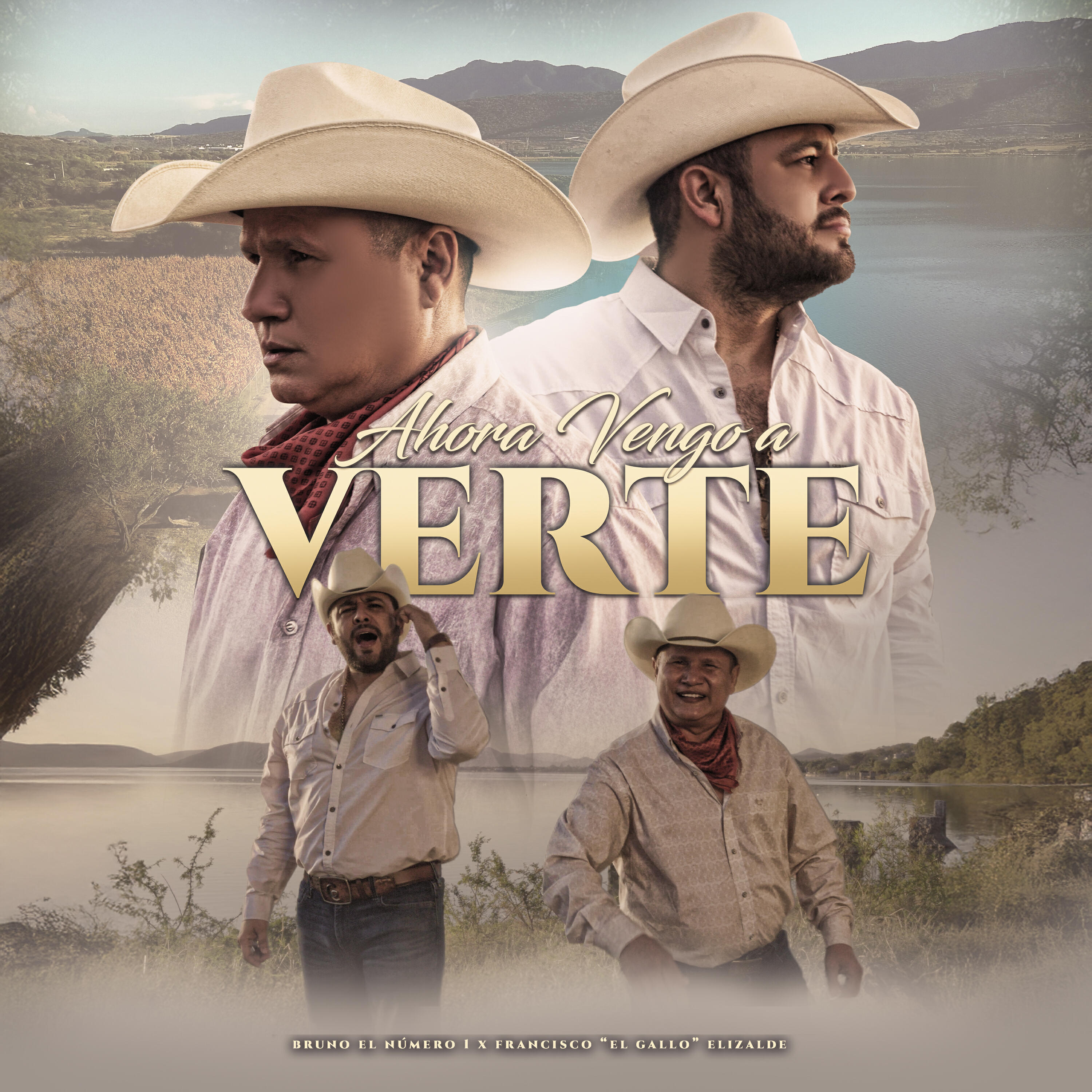Релиз Ahora Vengo A Verte
