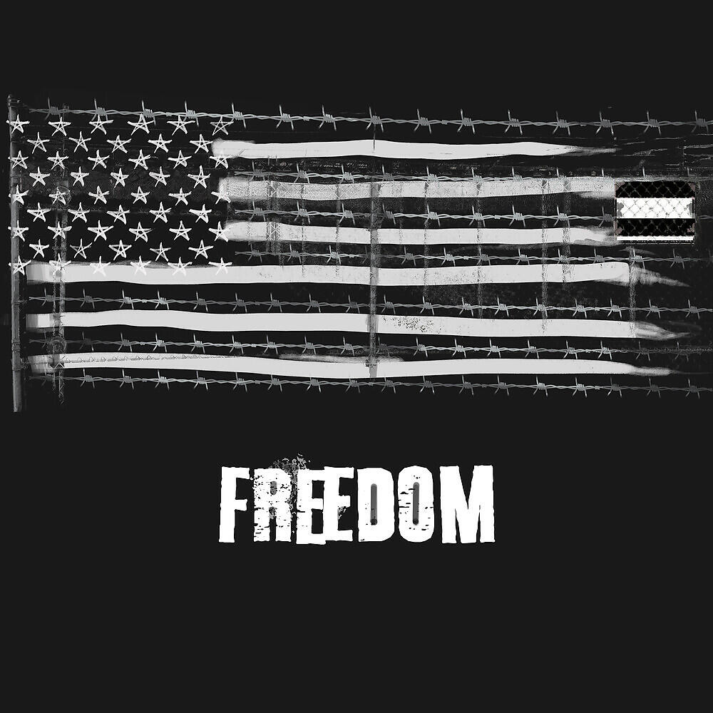 Релиз Freedom