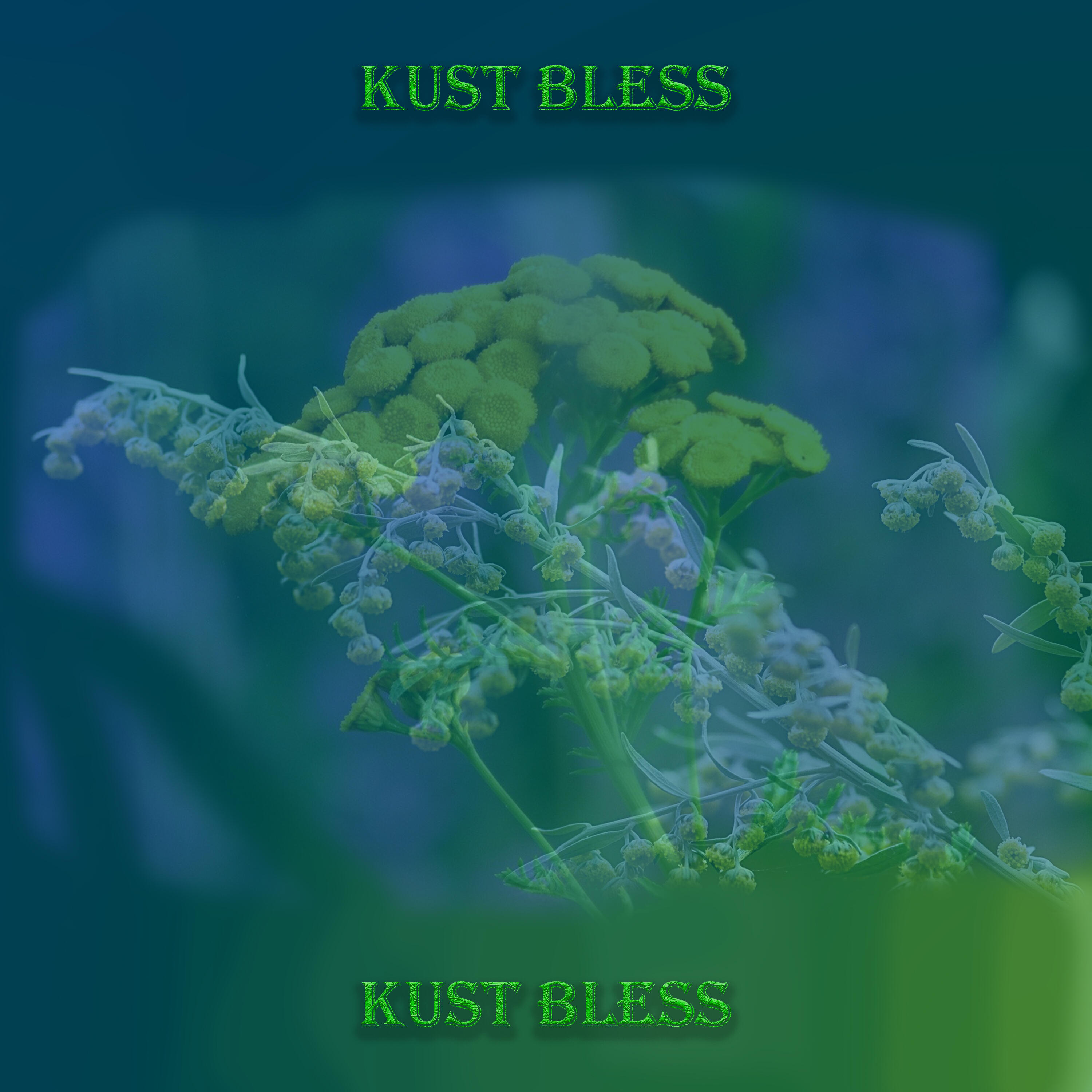 Релиз Kust Bless
