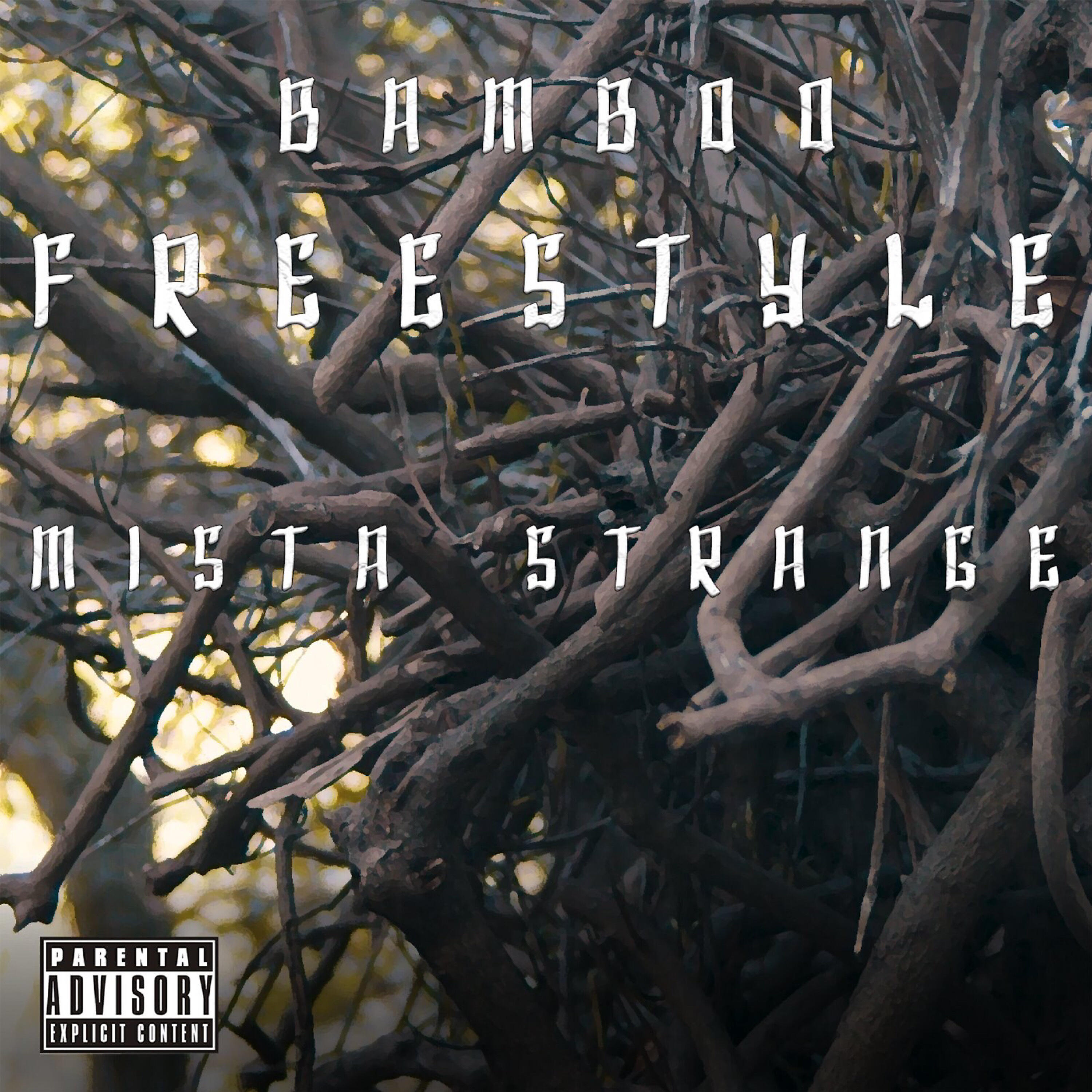 Релиз Bamboo Freestyle