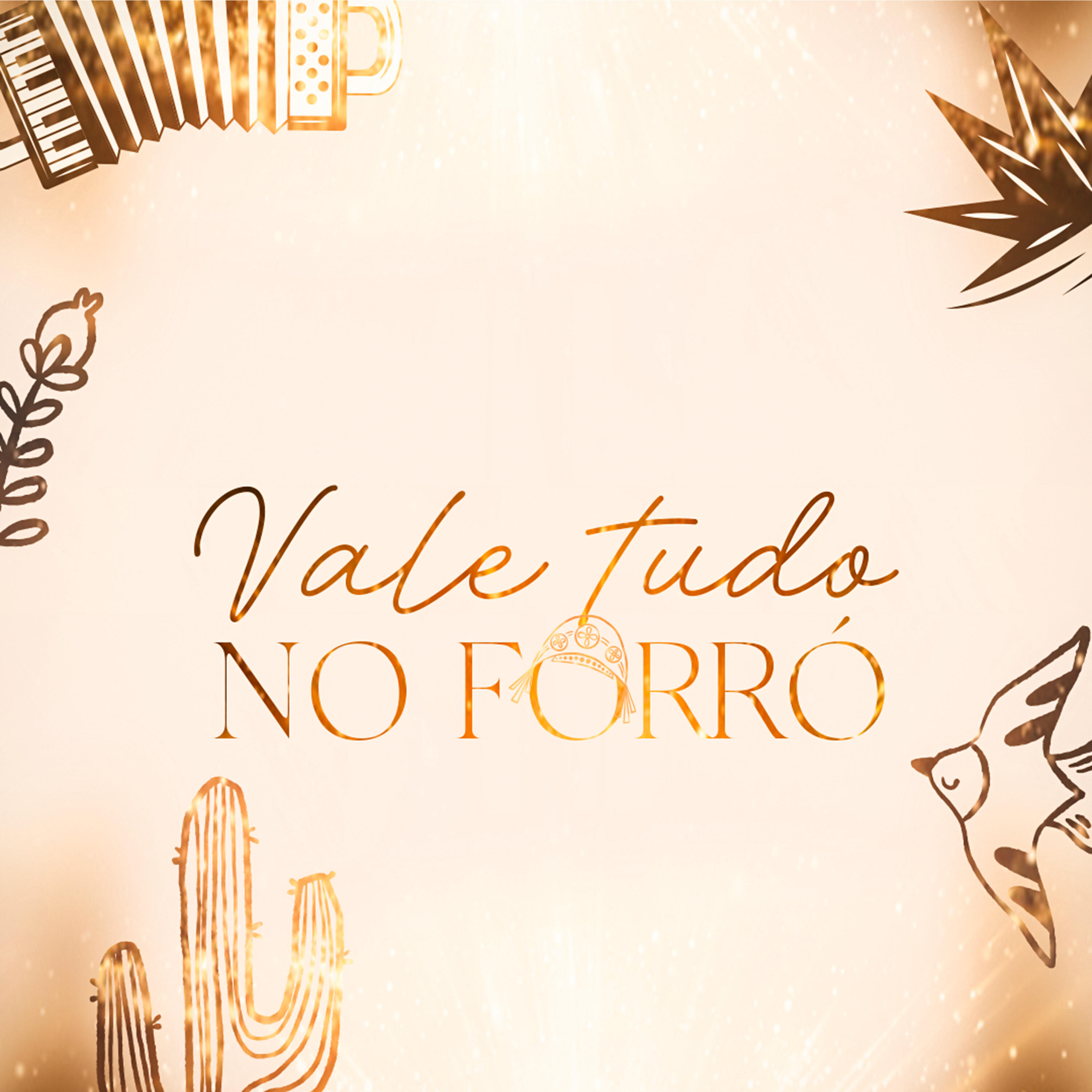 Релиз Vale Tudo no Forró