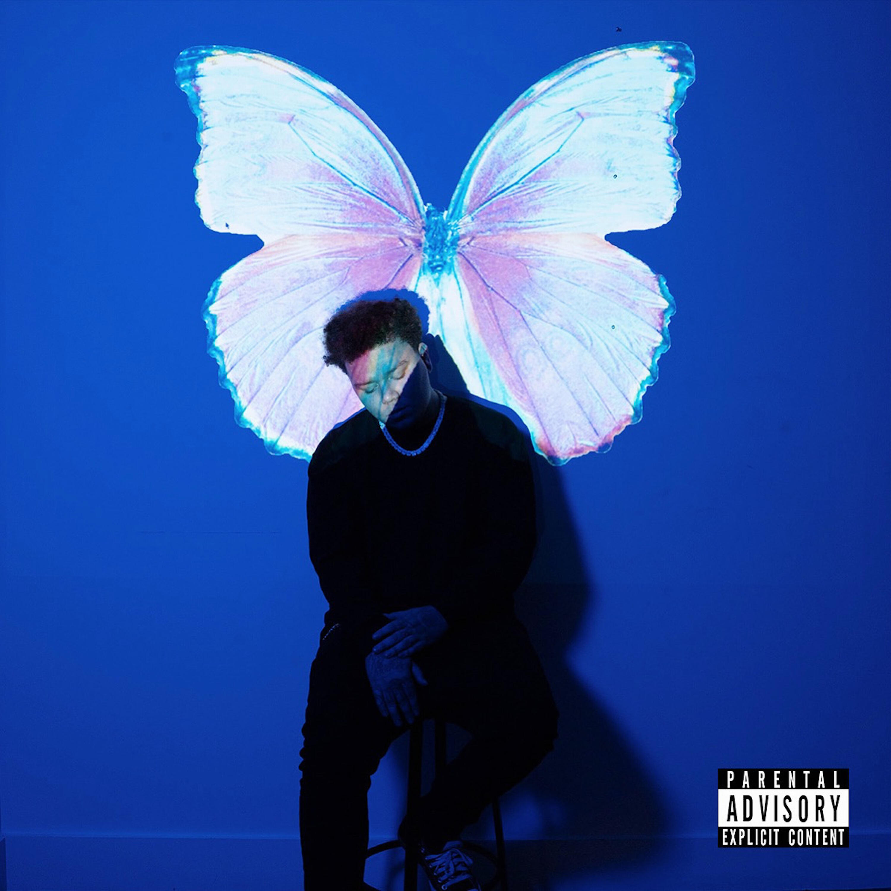 Релиз The Butterfly Effect