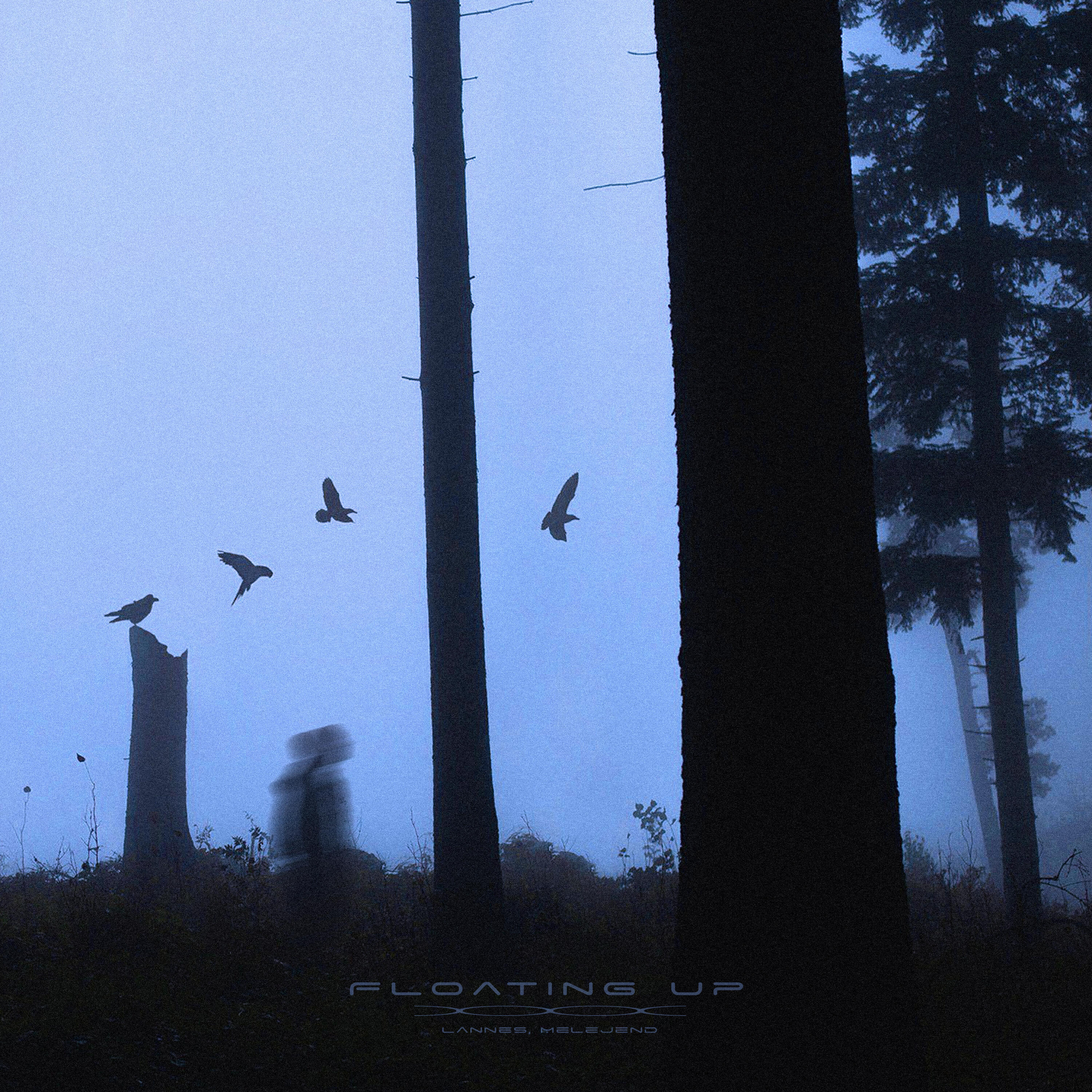 Релиз floating up