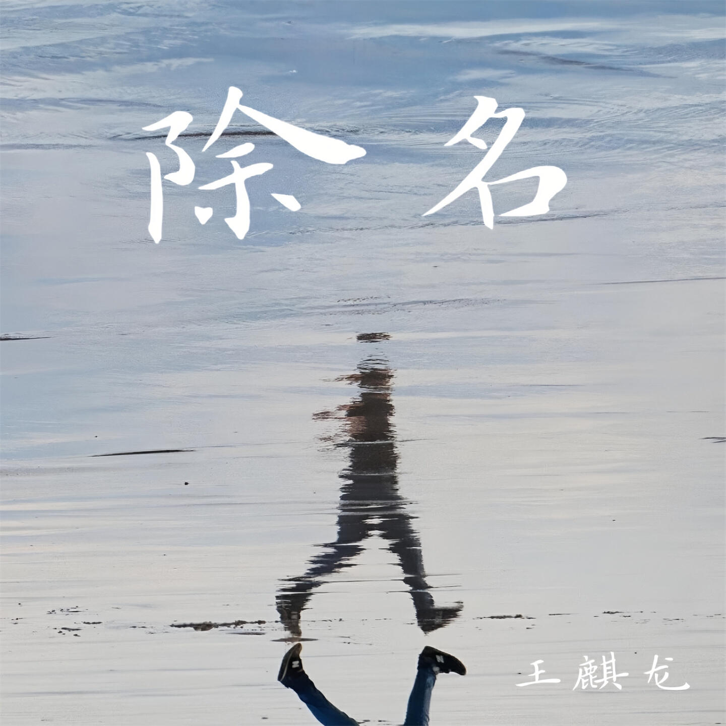 Релиз 除名