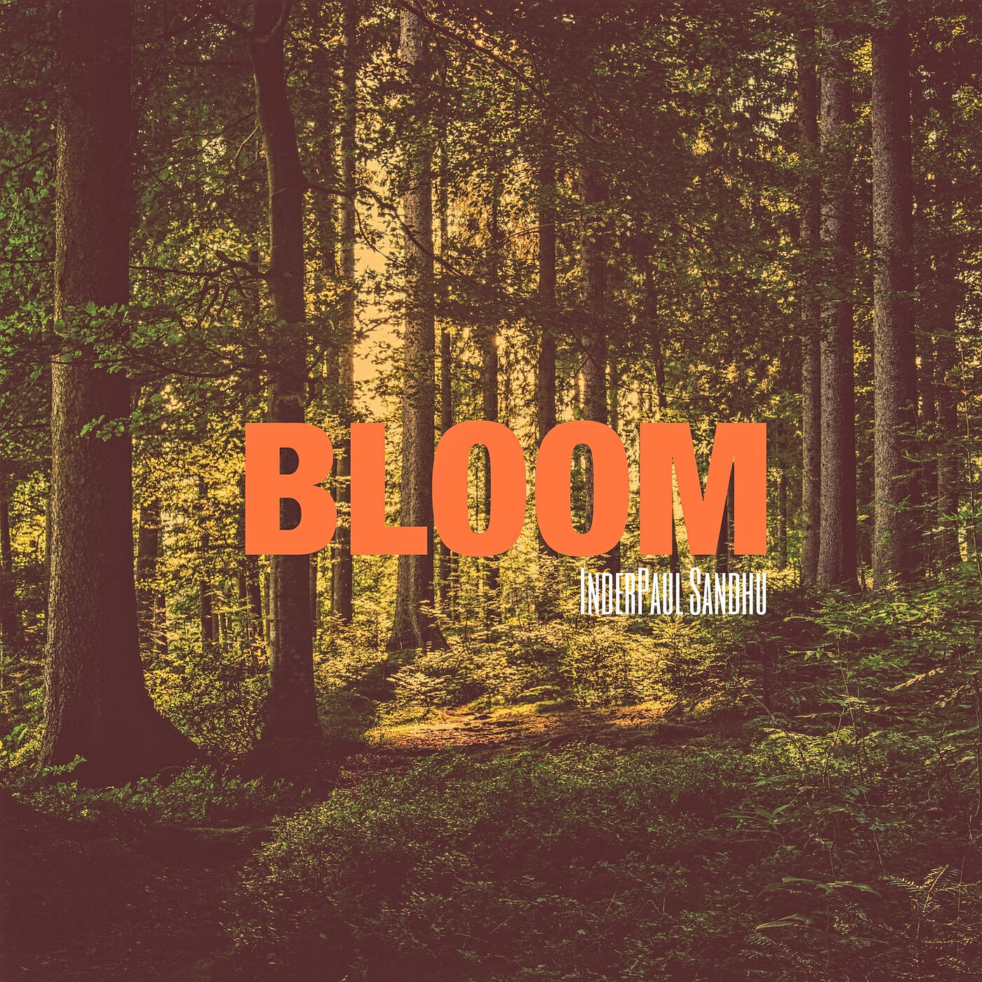 Релиз Bloom