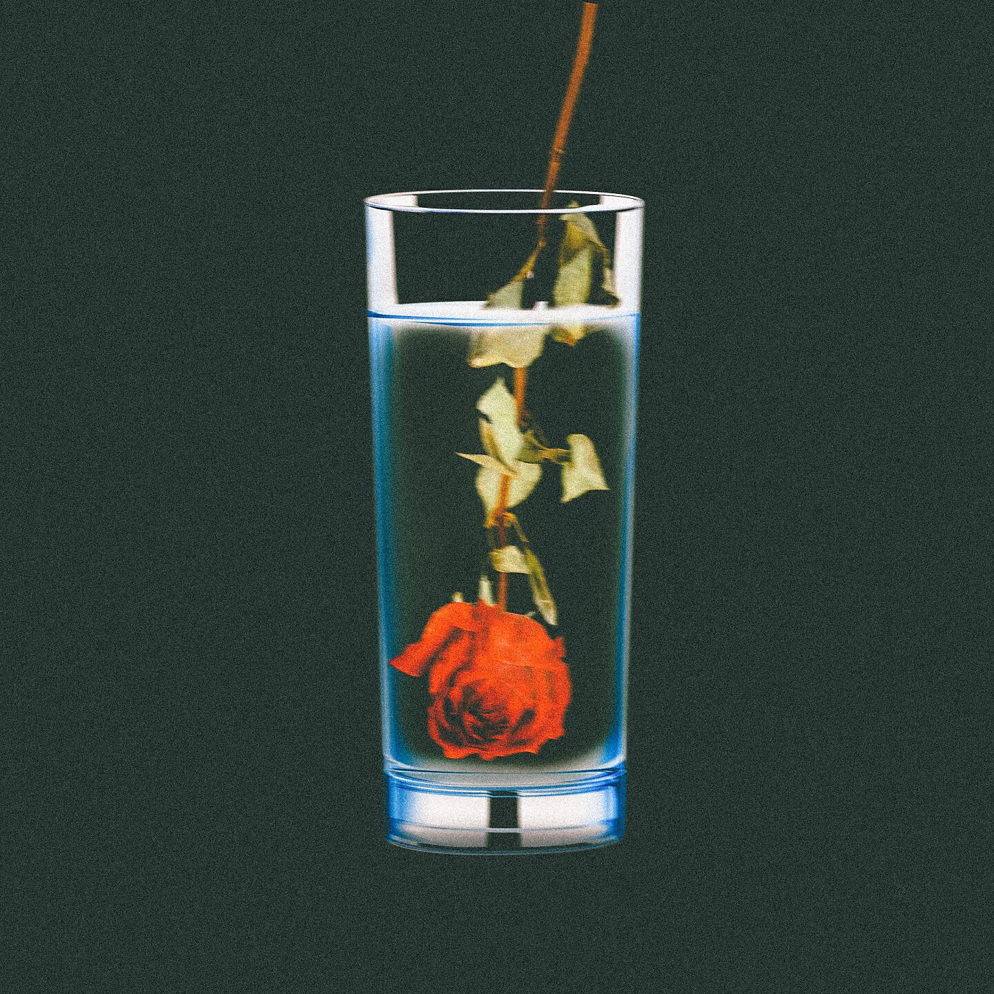 Релиз Misery