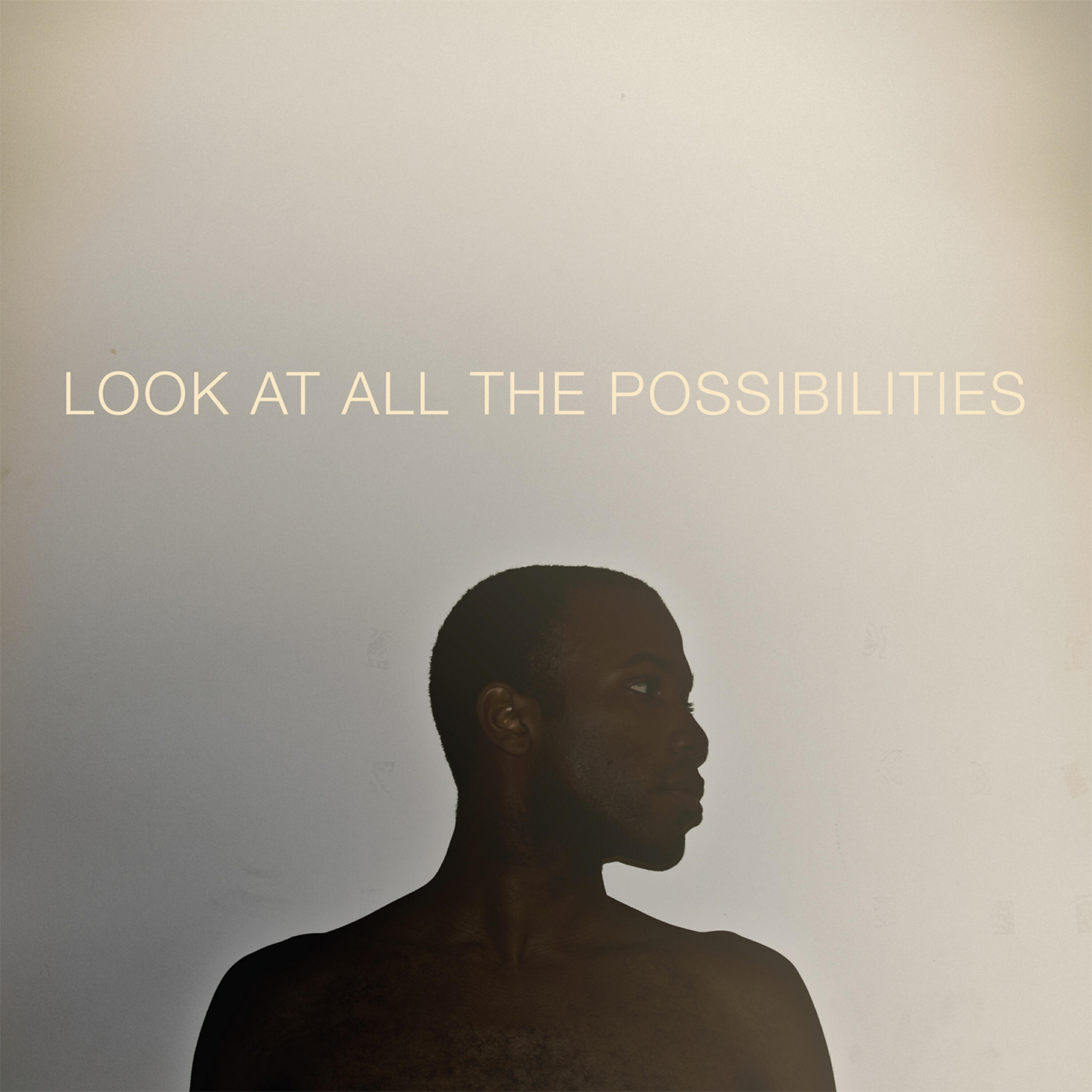 Релиз Look at All the Possibilities