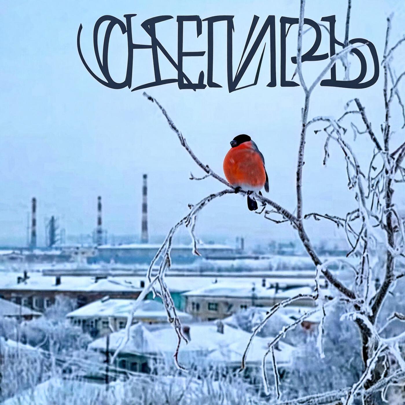 Релиз Снегирь