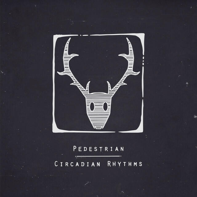 Релиз Circadian Rhythms