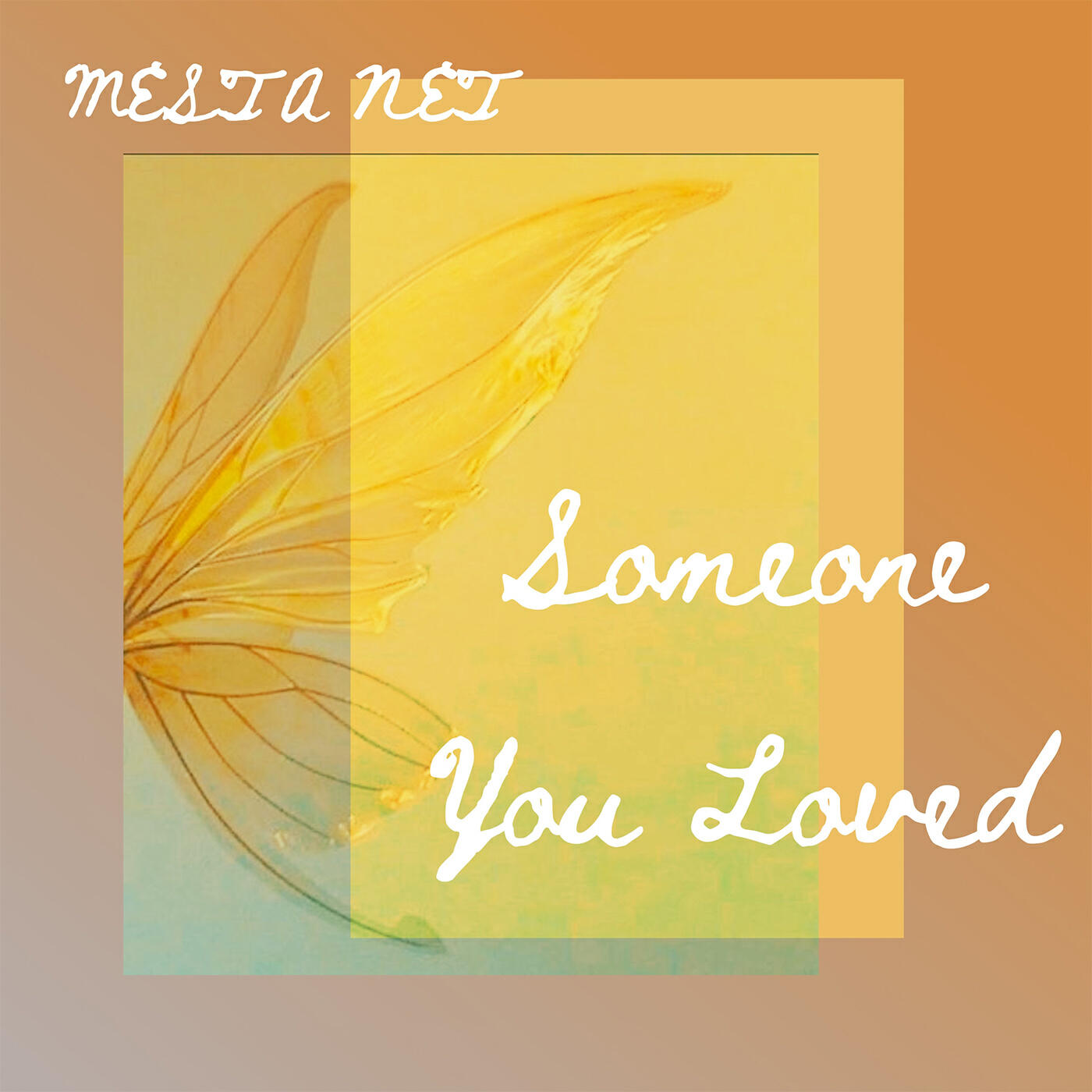 MESTA NET - Someone You Loved