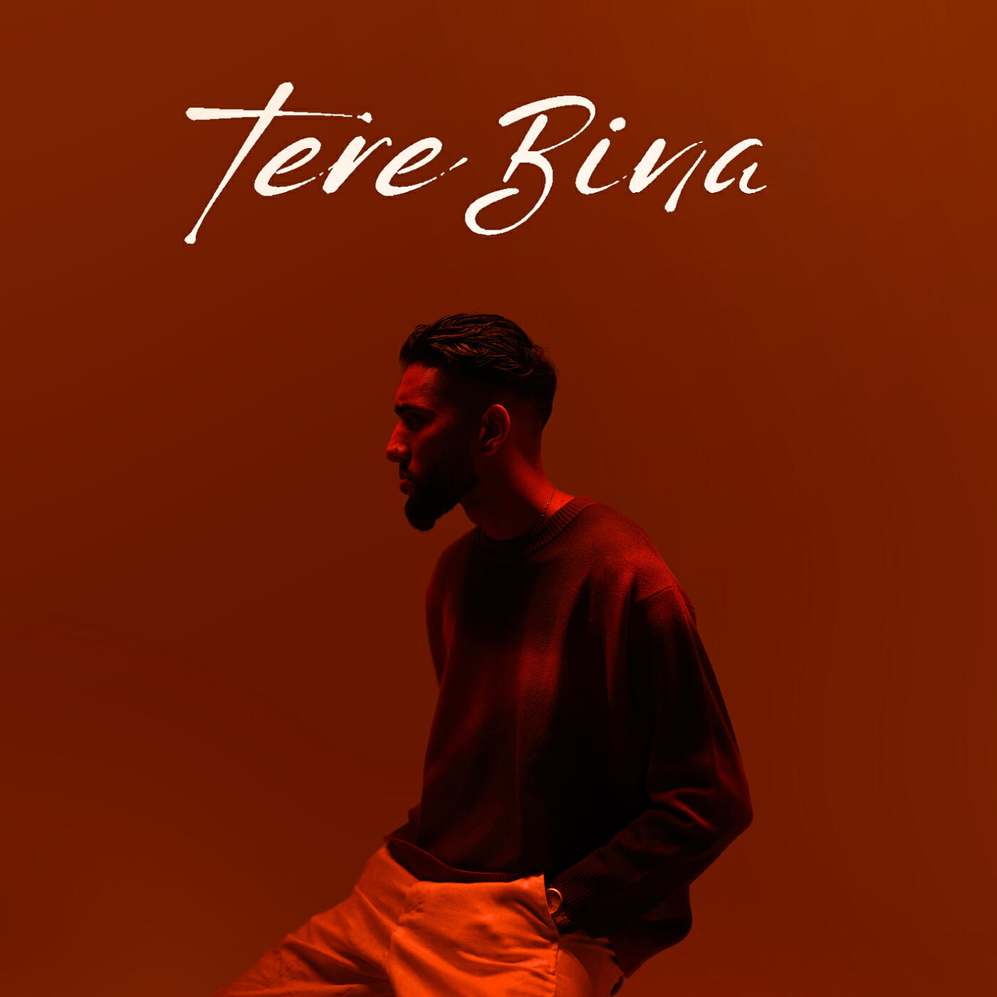Релиз Tere Bina