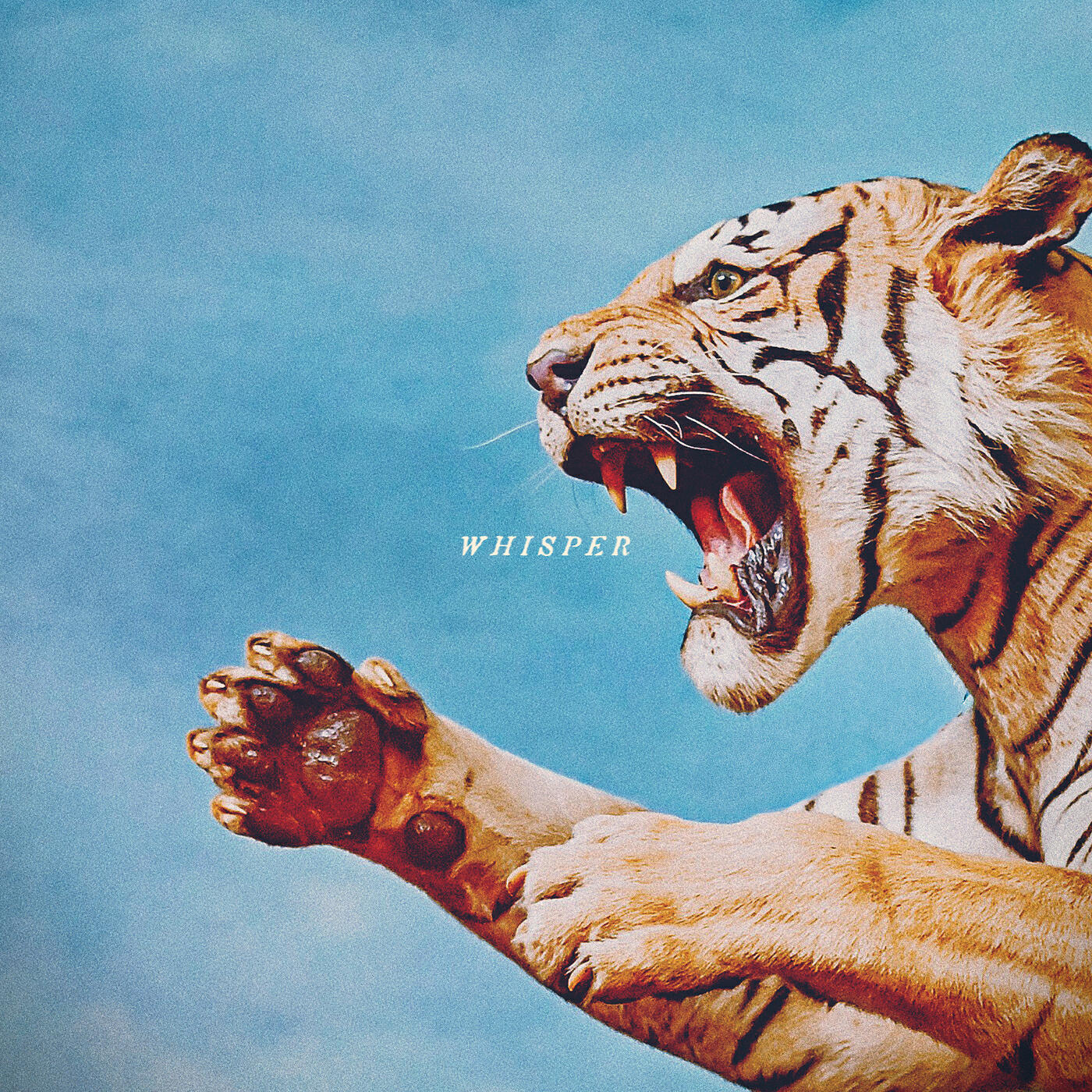 Релиз Whisper