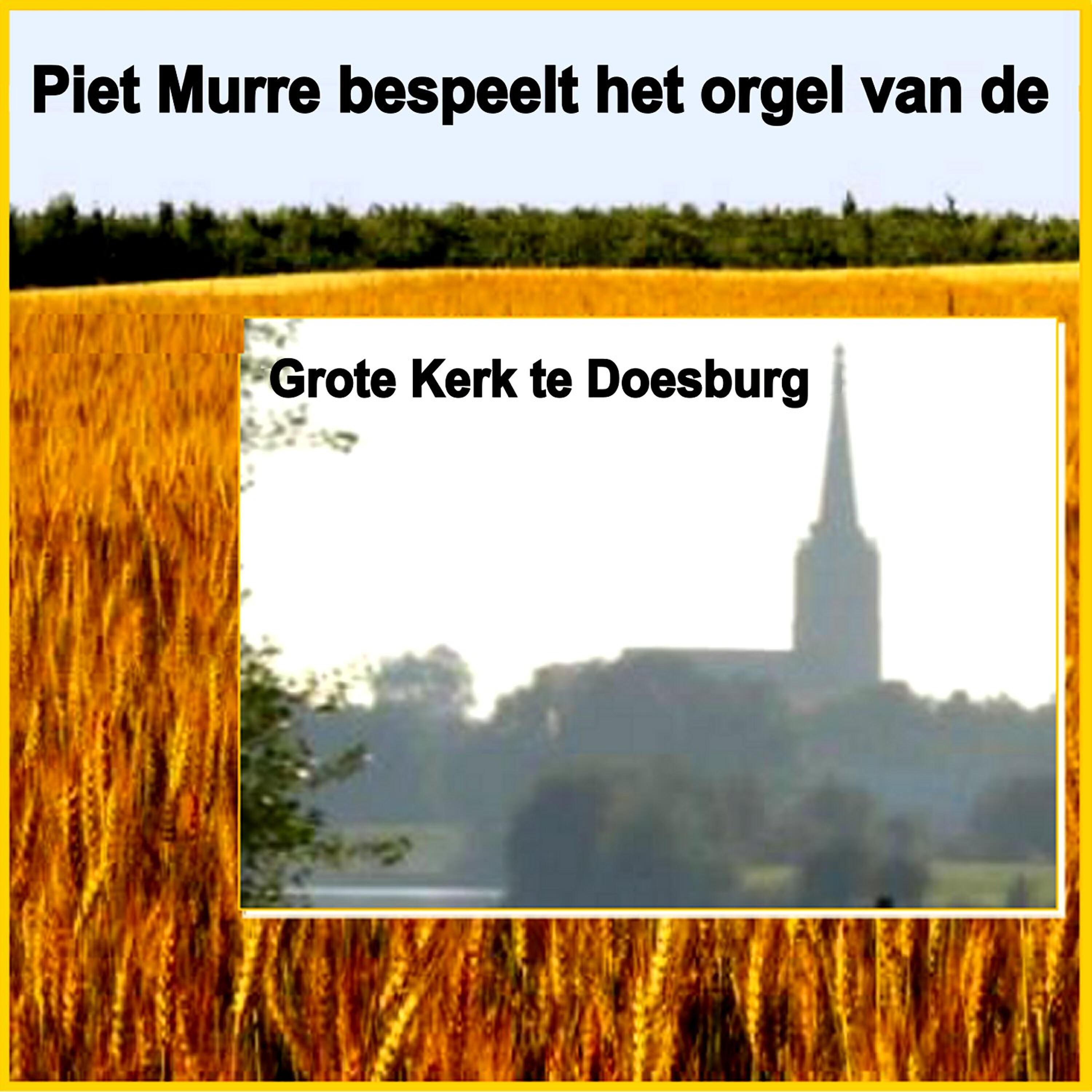 Релиз Piet Murre bespeelt het Orgel van de Grote Kerk te Doesburg