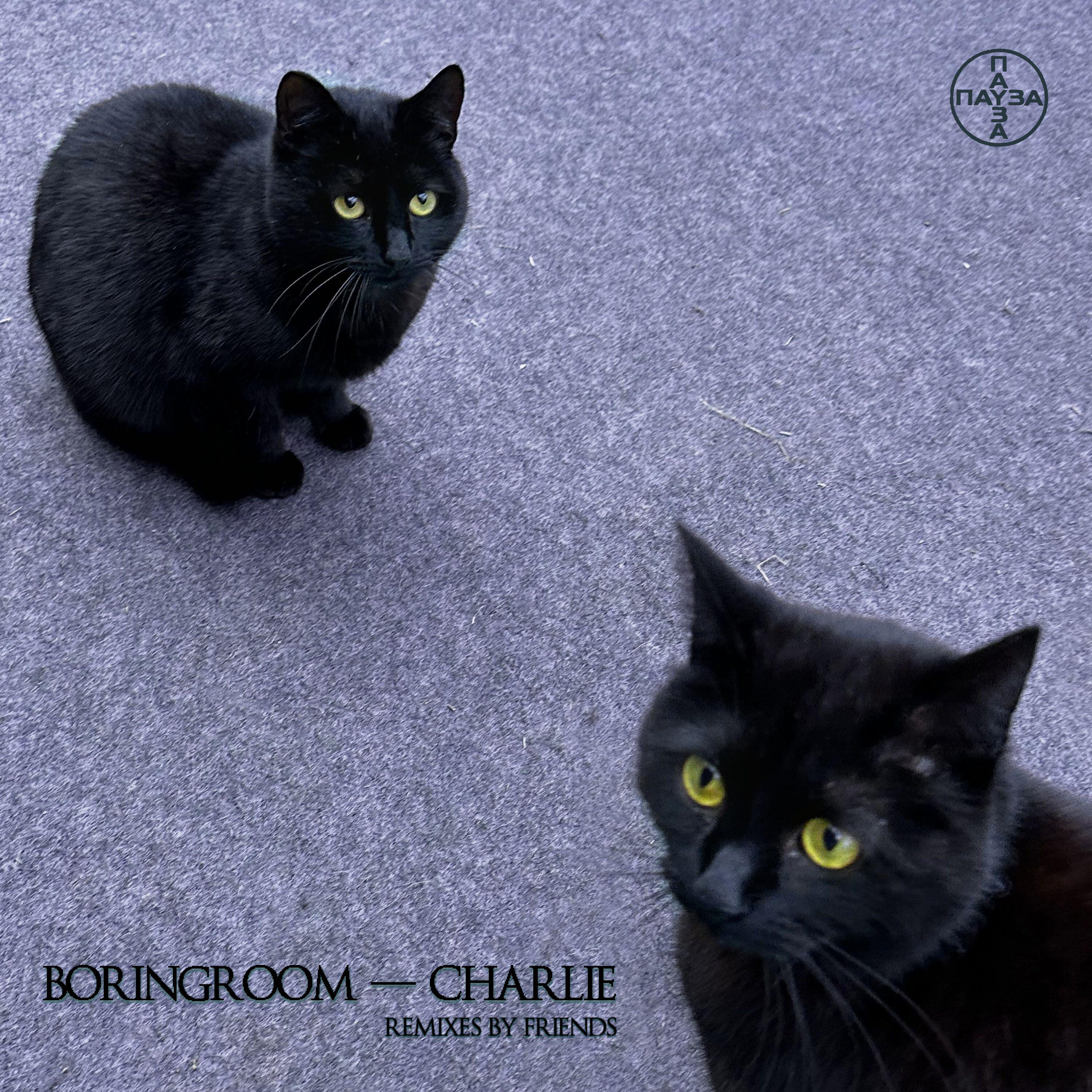 Релиз Charlie