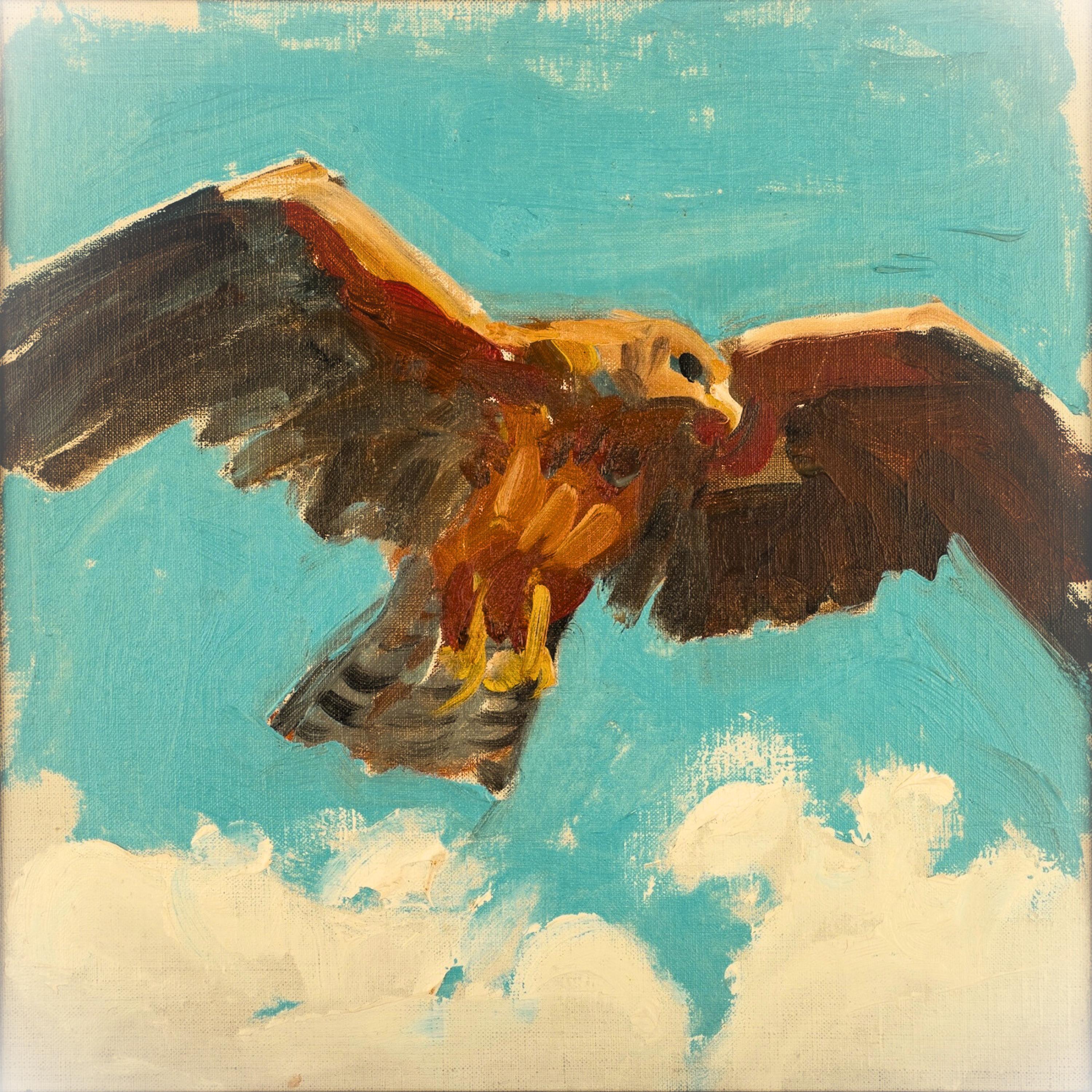 Релиз The Falcon