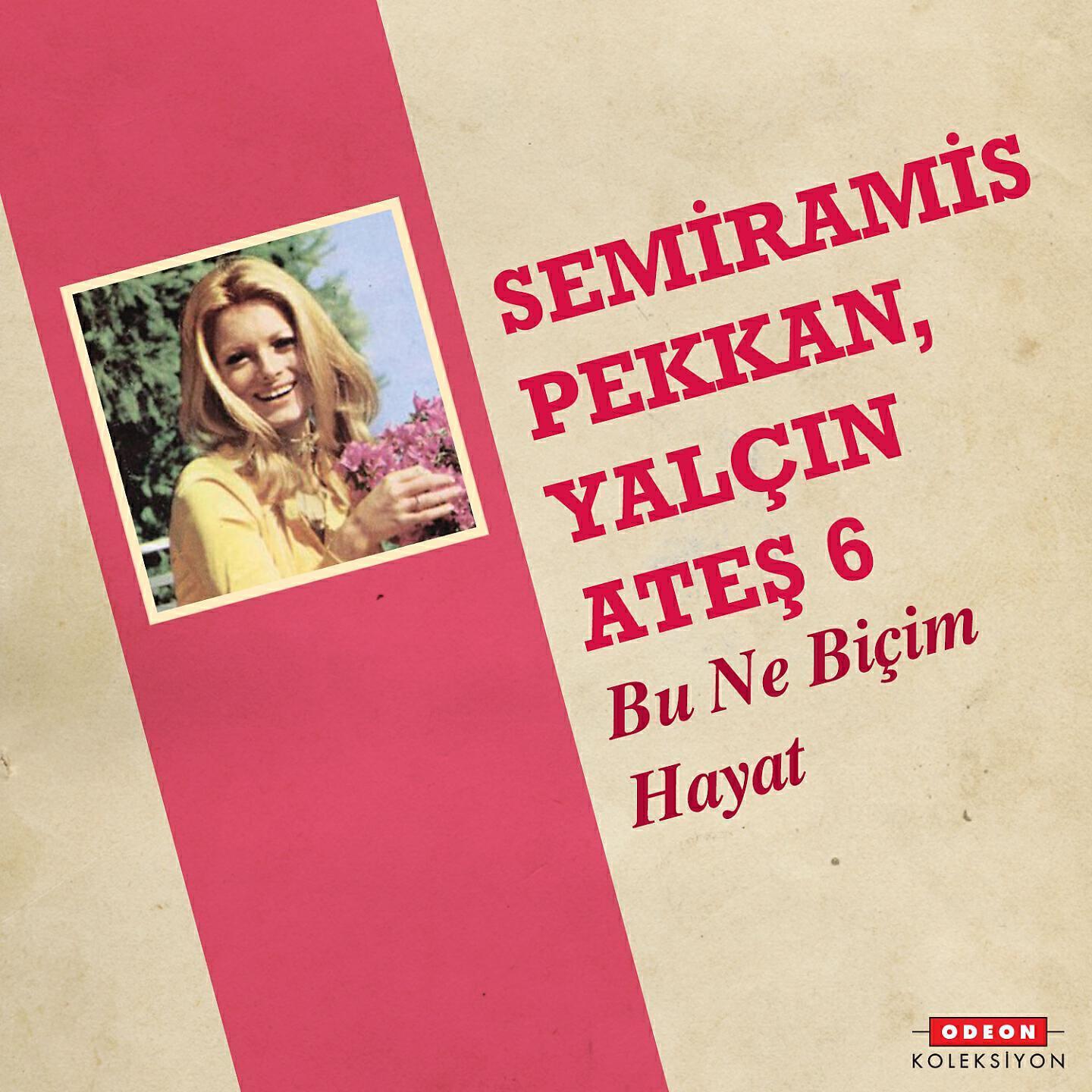 Yalçın Ateş 6