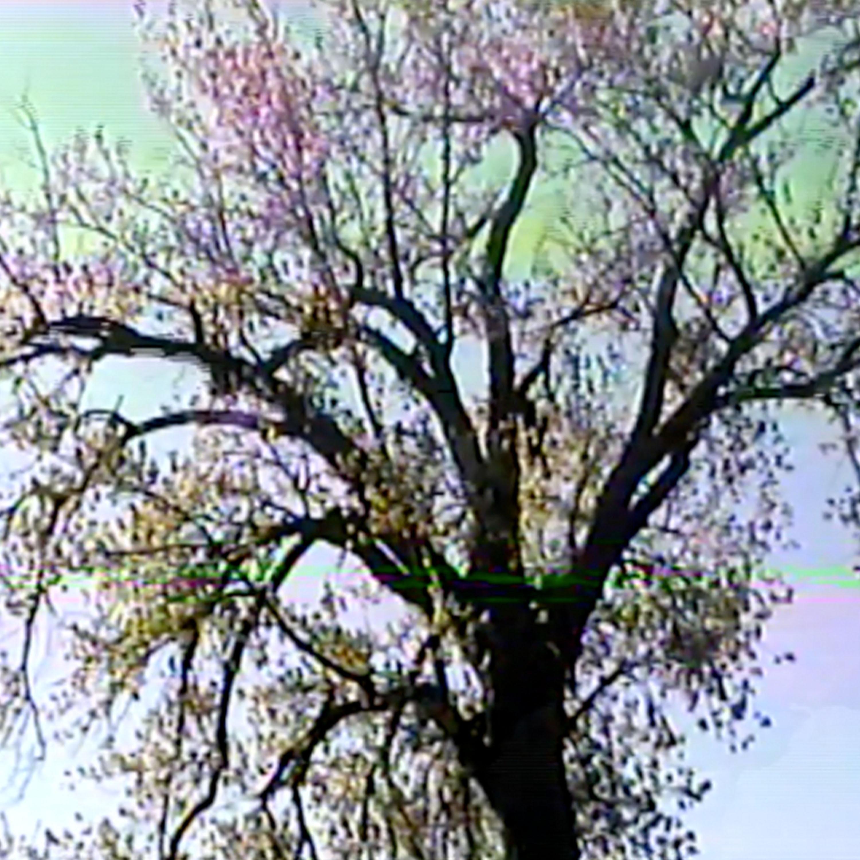 Релиз NothingMajor