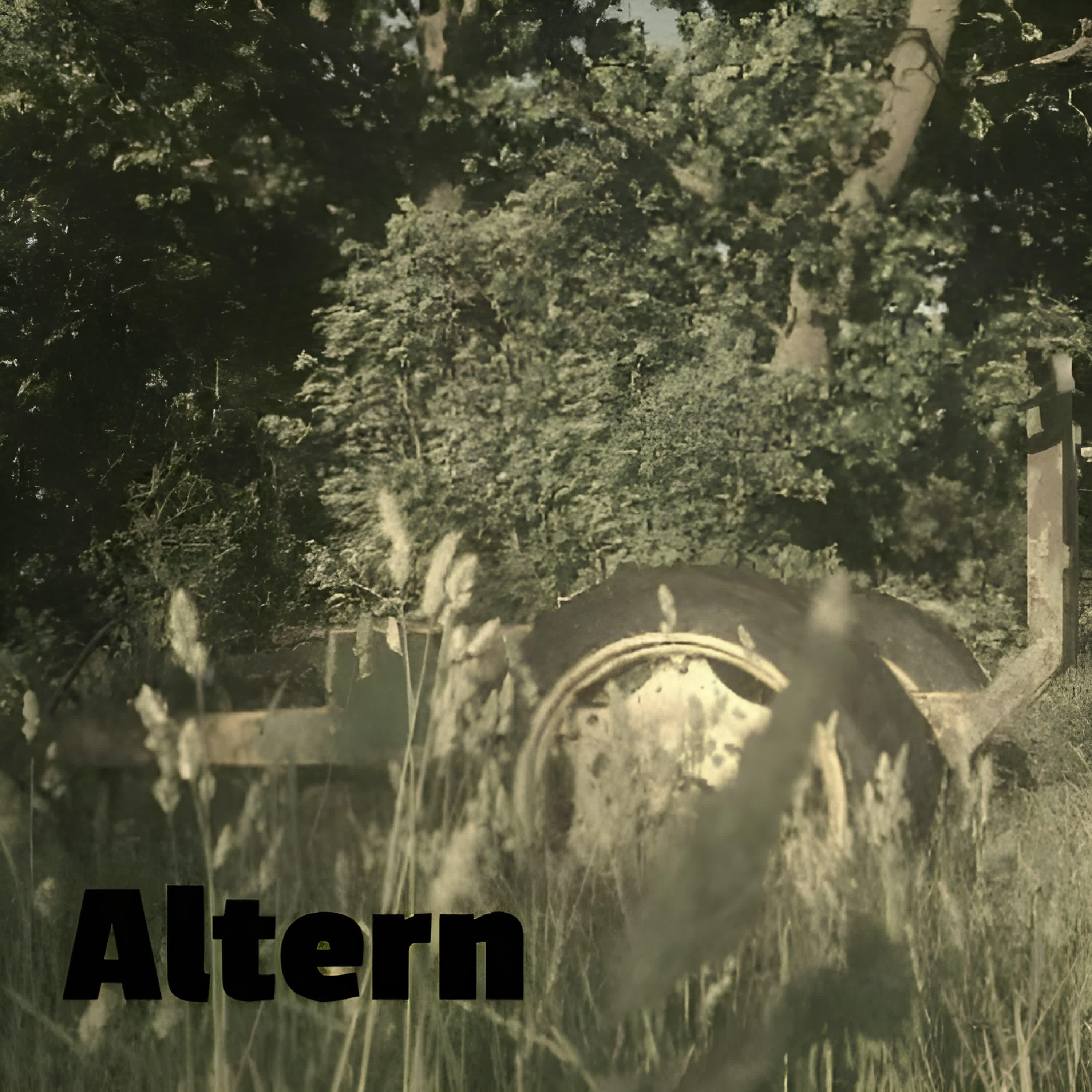 Релиз Altern
