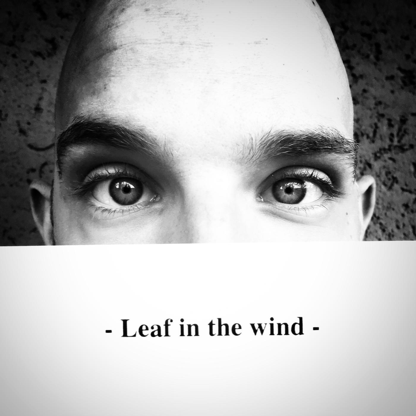 Релиз Leaf in the Wind