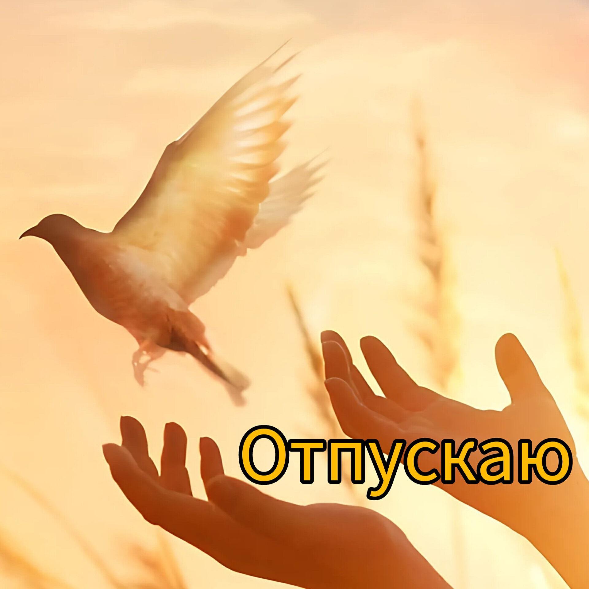 Релиз Отпускаю