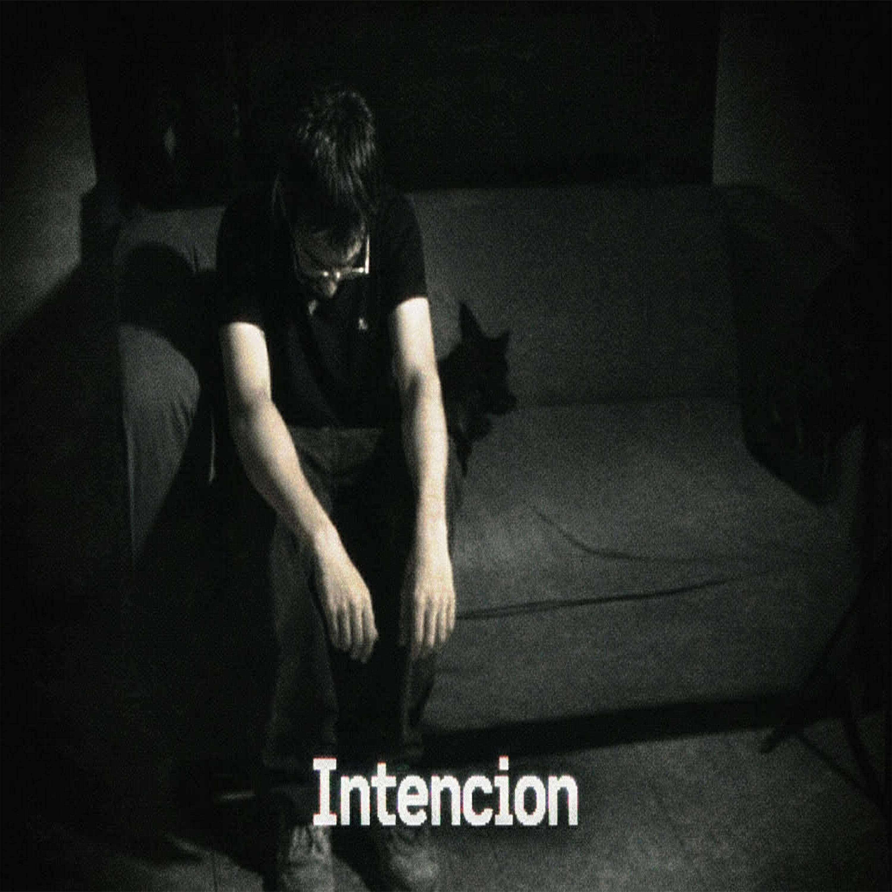 Релиз Intención
