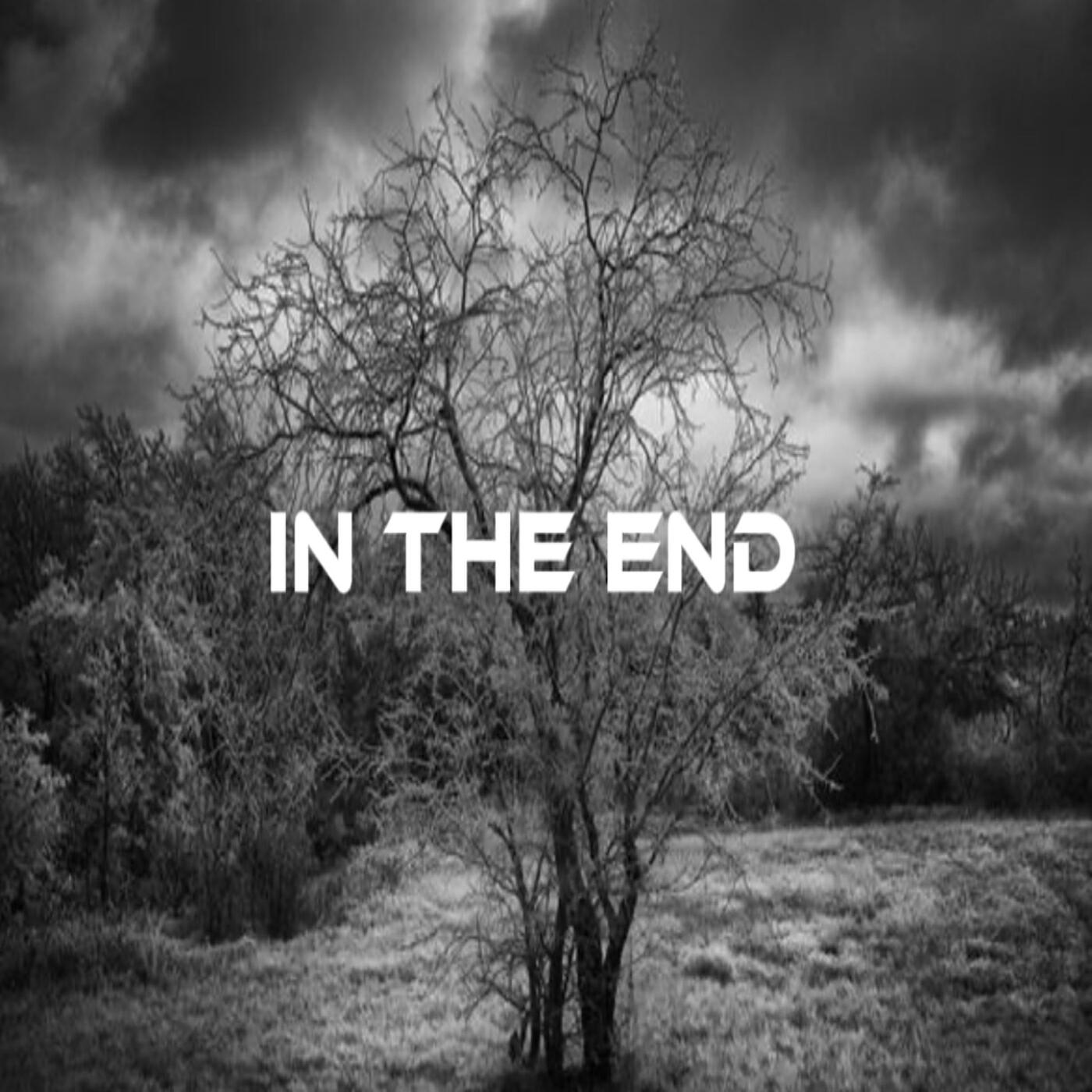 Релиз In the End