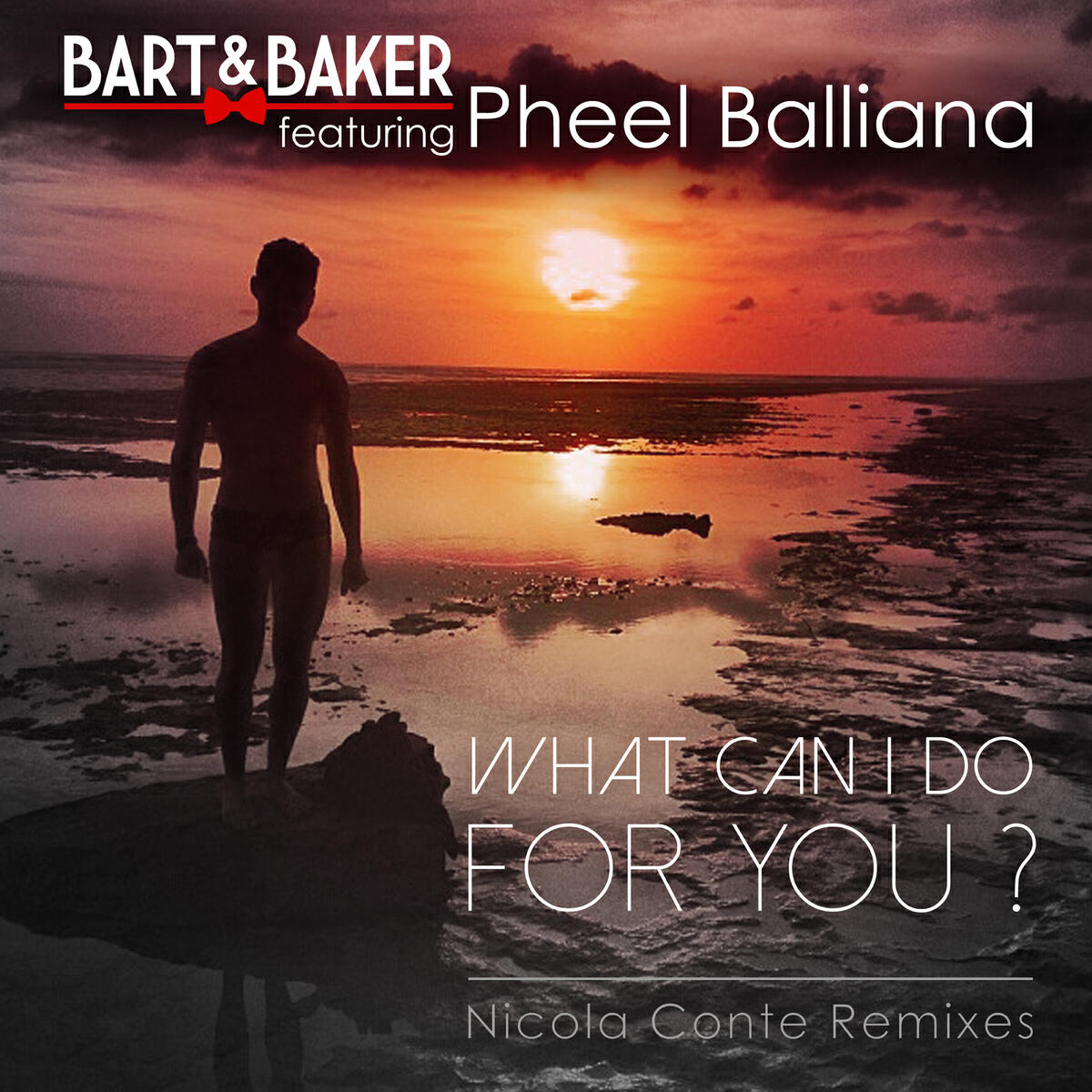 Релиз What Can I Do for You ? (feat. Pheel Balliana) - EP