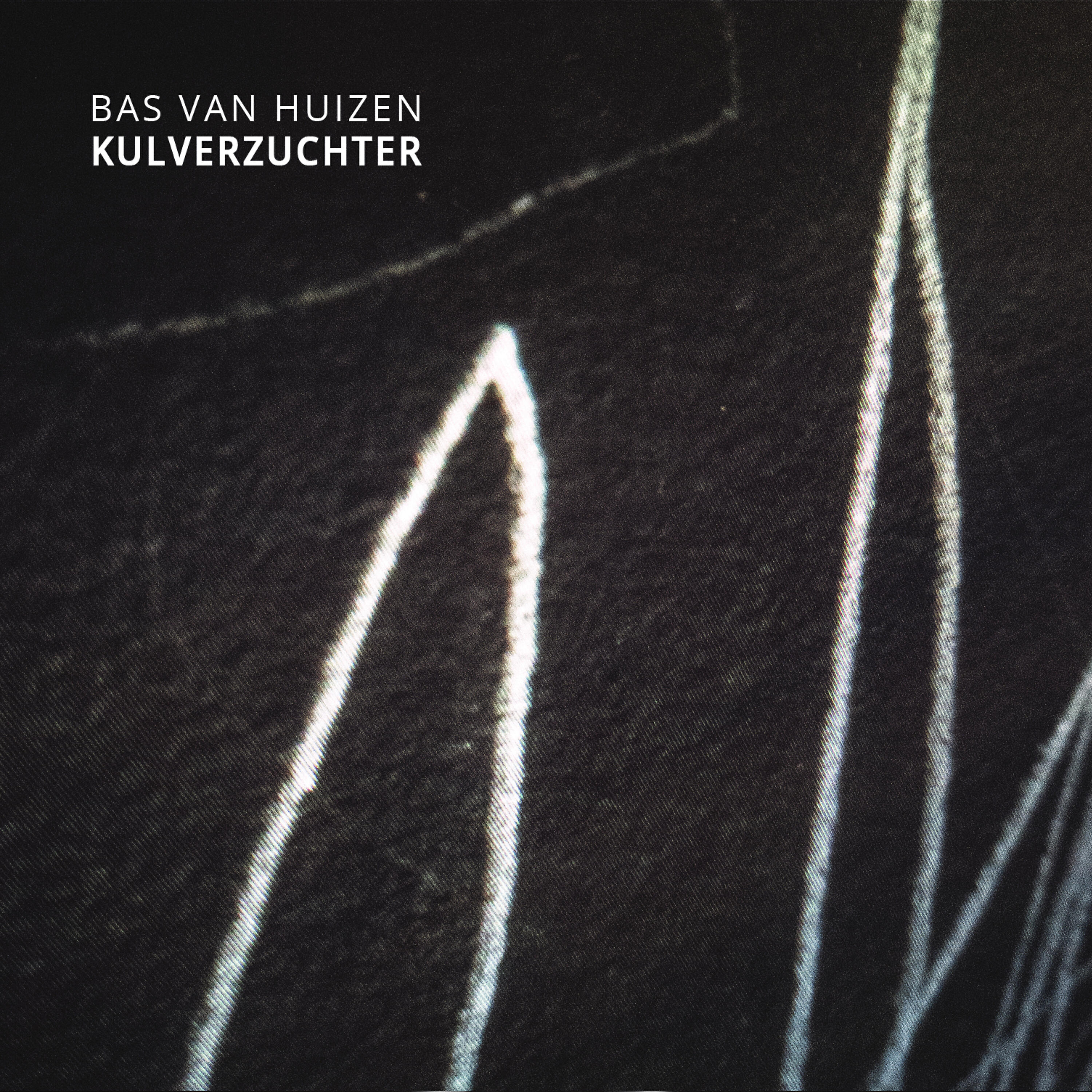 Bas van Huizen