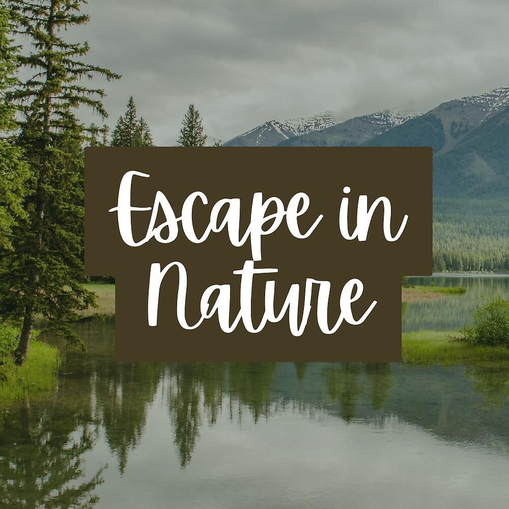 Релиз Escape in Nature