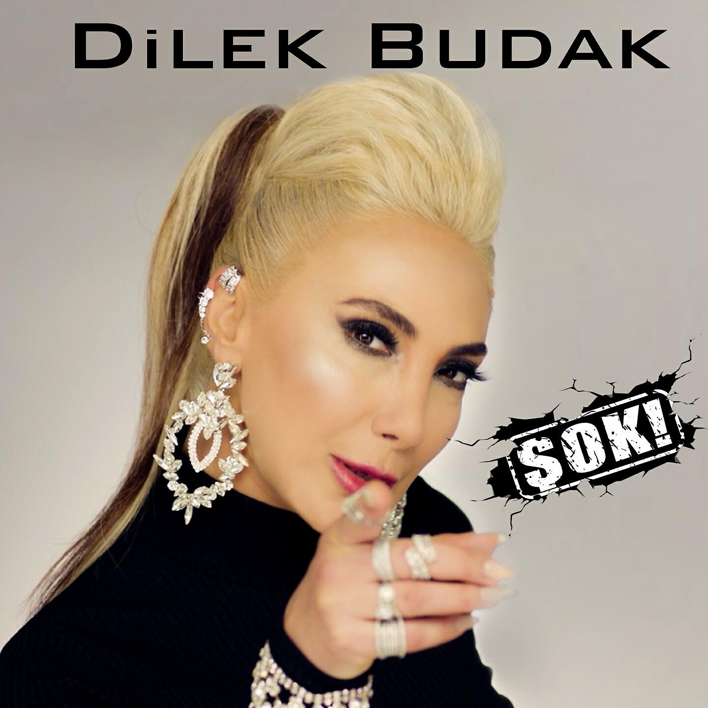 Релиз Şok