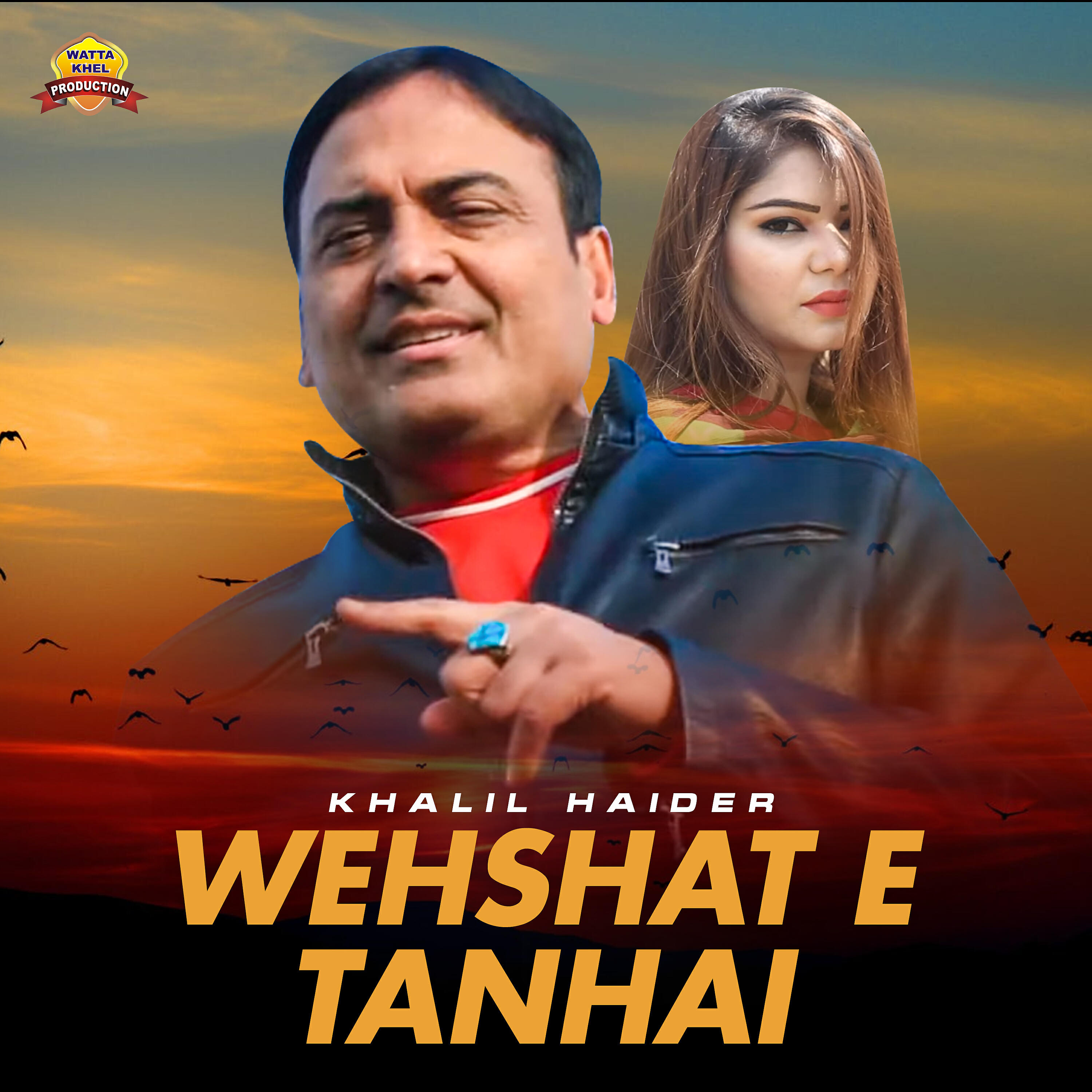 Релиз Wehshat E Tanhai - Single
