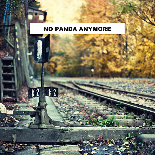 Релиз No Panda Anymore