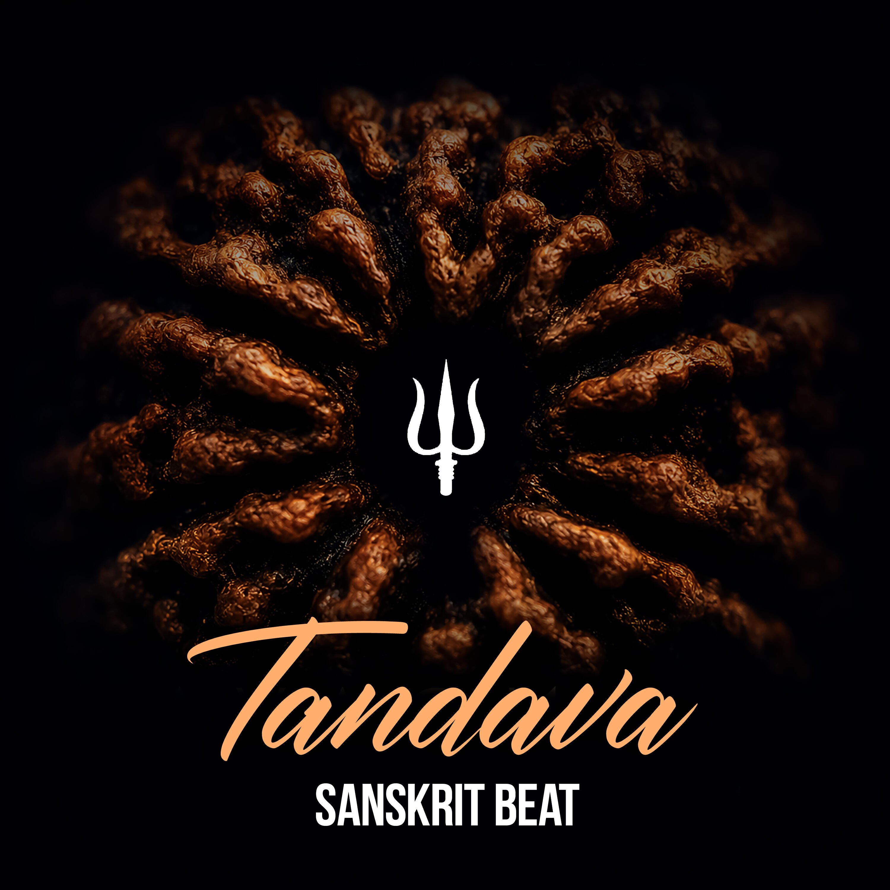 Релиз Tandava