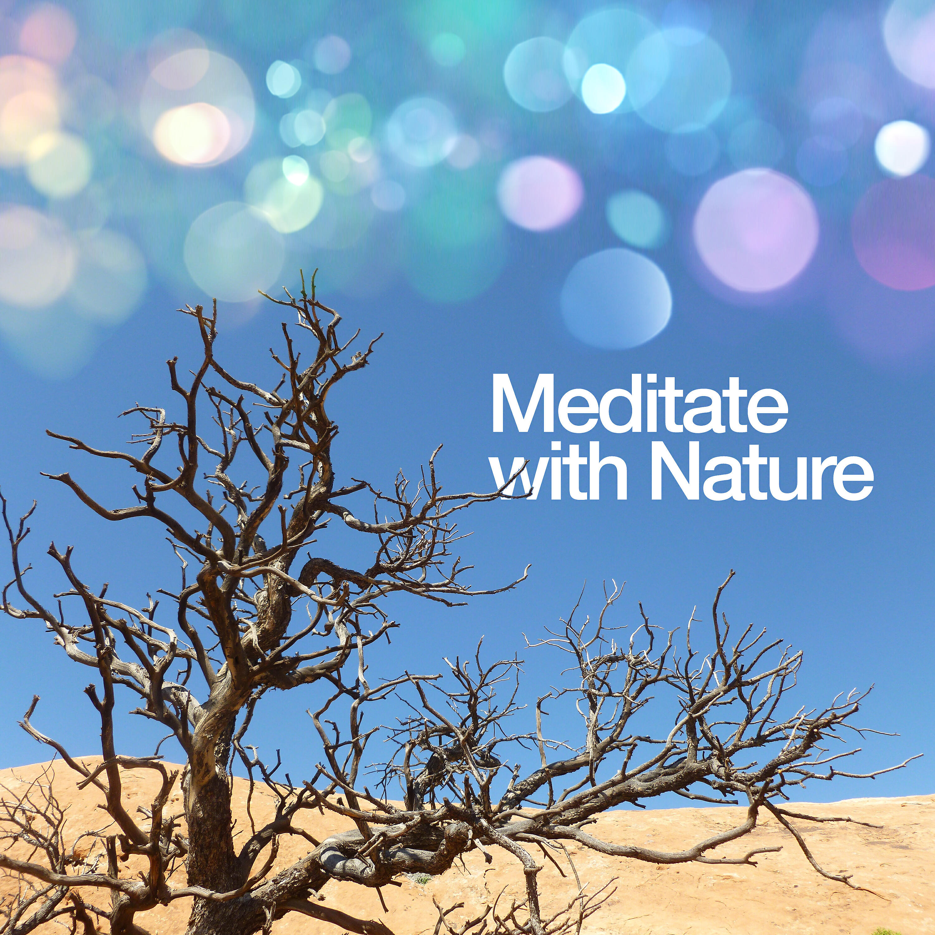Релиз Meditate with Nature