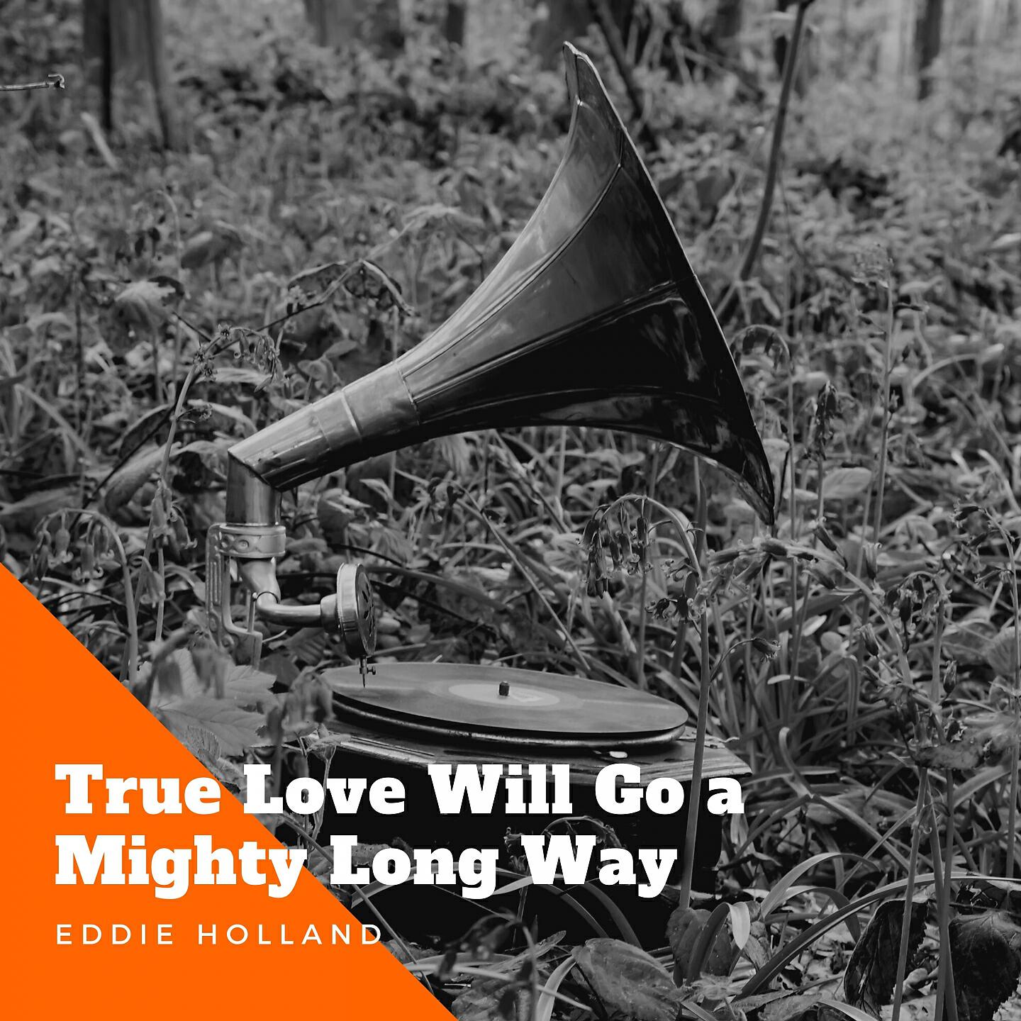 Релиз True Love Will Go a Mighty Long Way