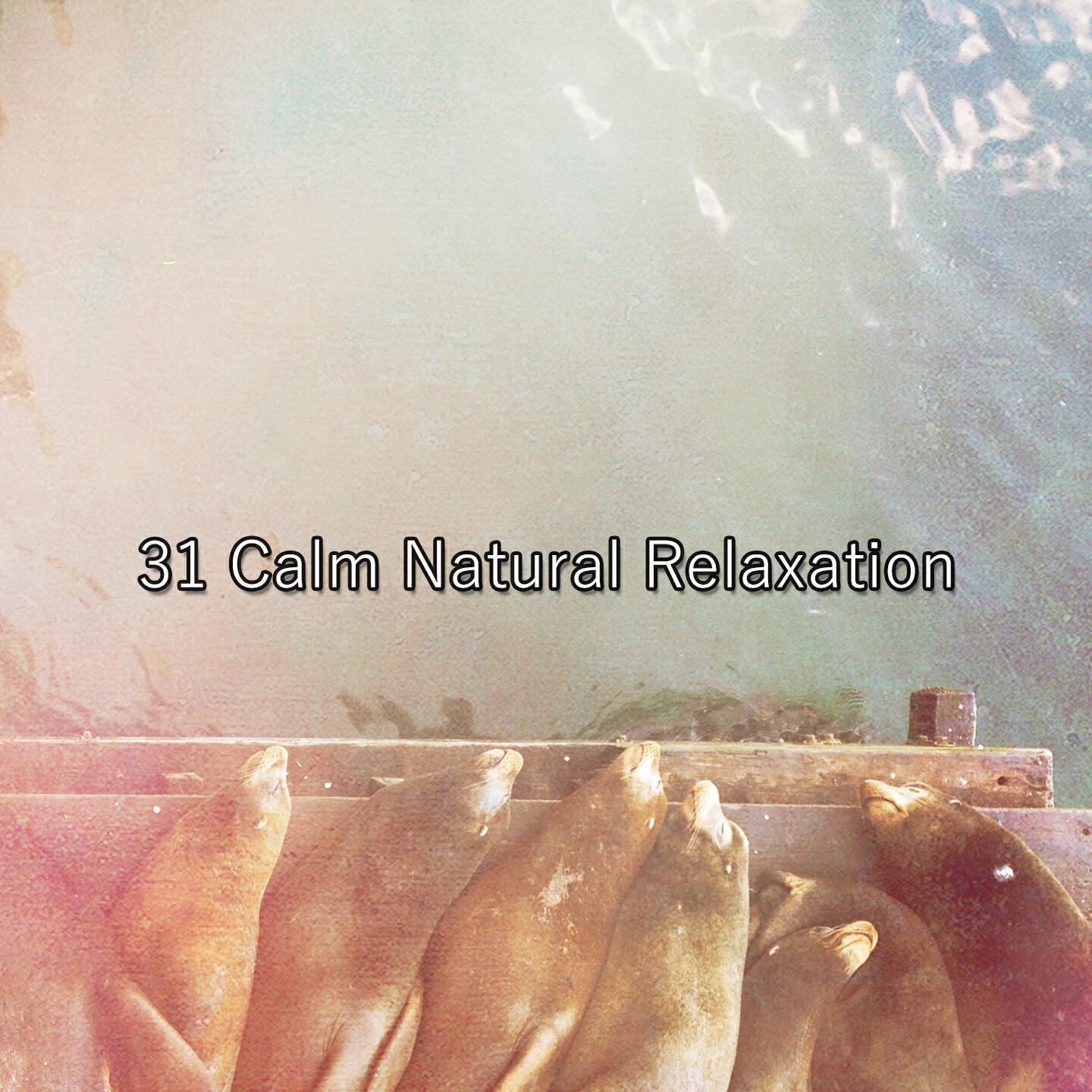 Релиз 31 Calm Natural Relaxation