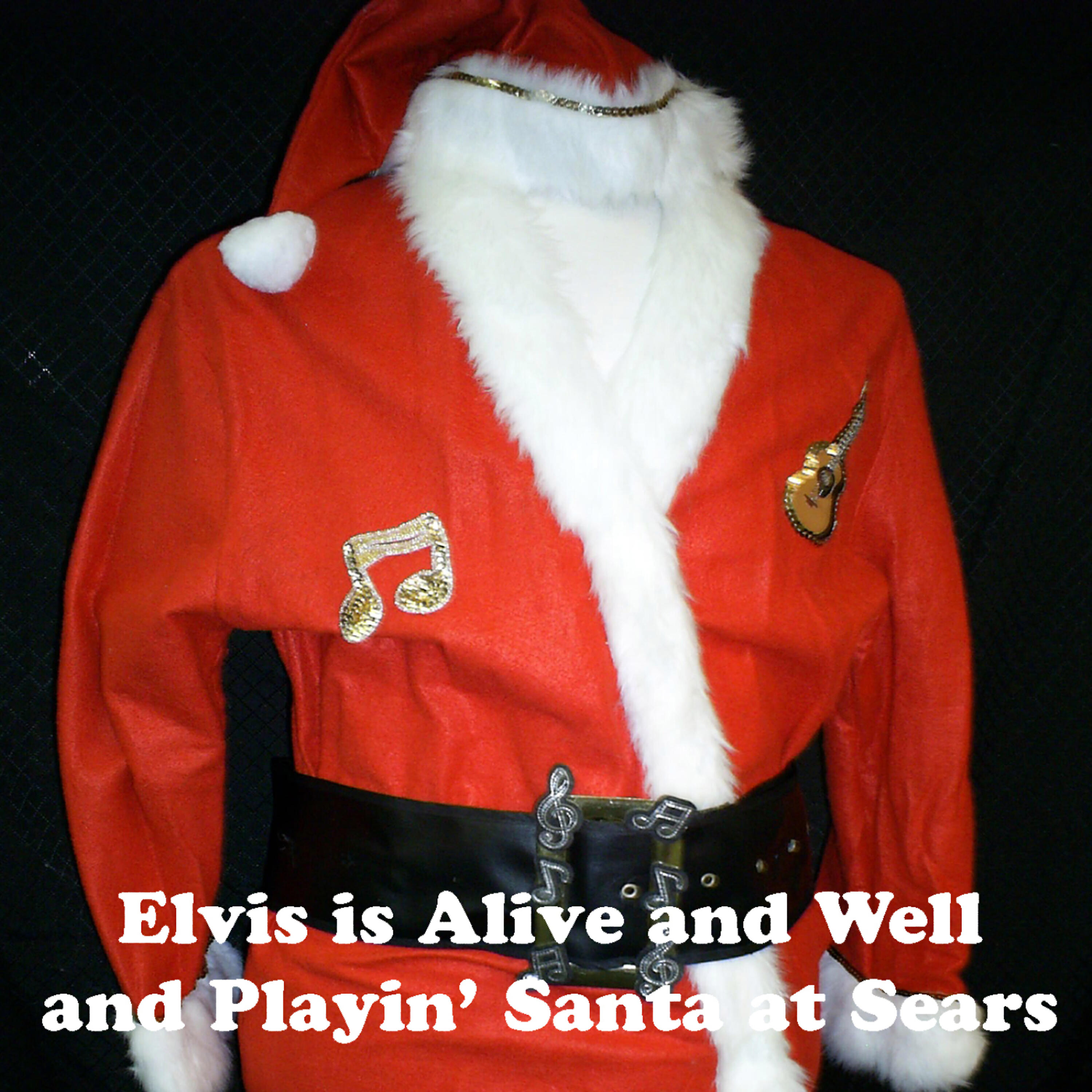 Релиз Elvis Is Alive And Well And Playin' Santa At Sears
