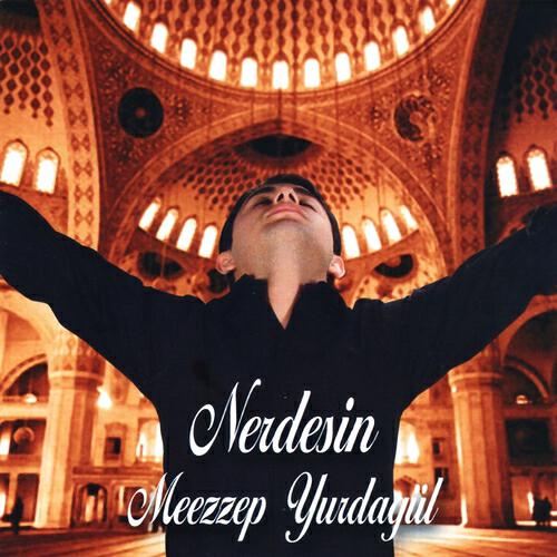 Релиз Nerdesin