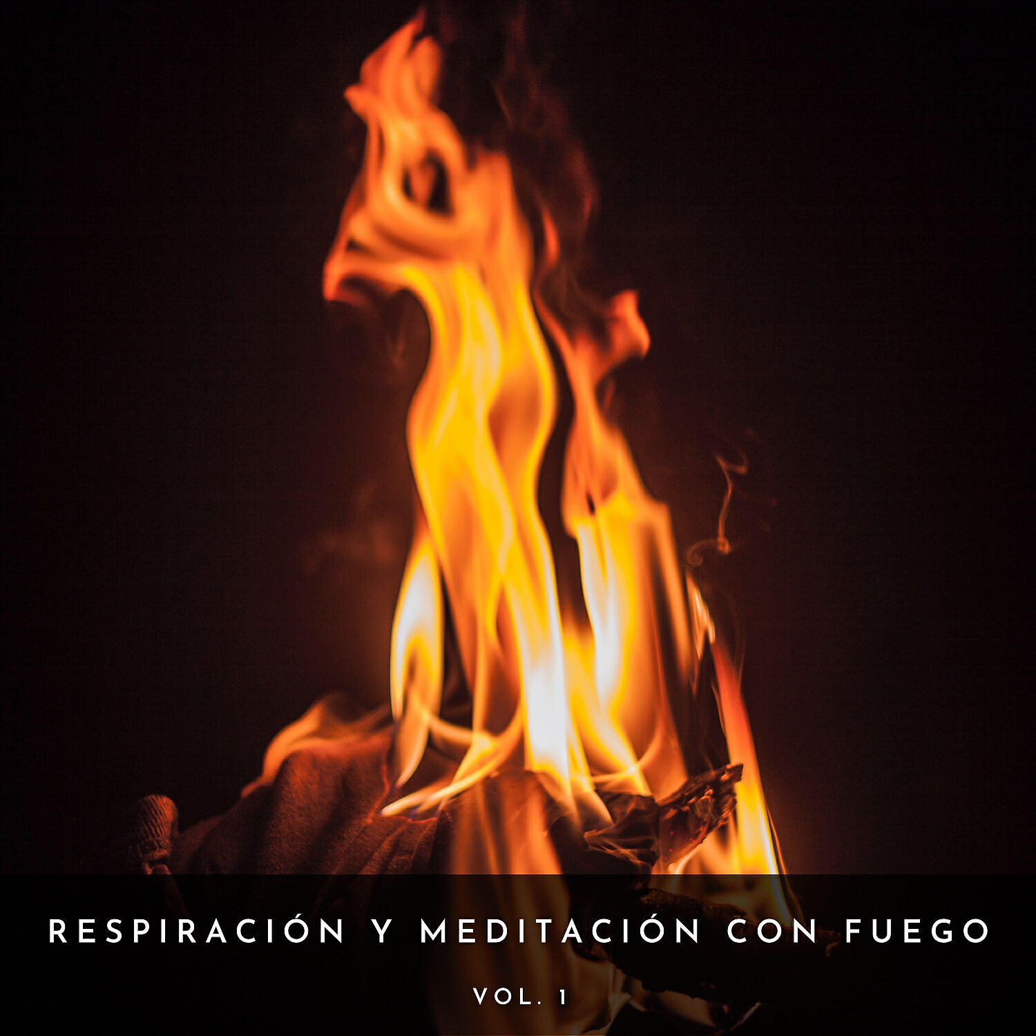 Релиз Respiración Y Meditación Con Fuego Vol. 1