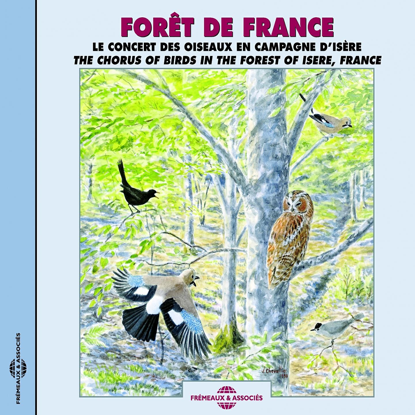Релиз Forêt de France - Le concert des oiseaux en campagne d'Isère