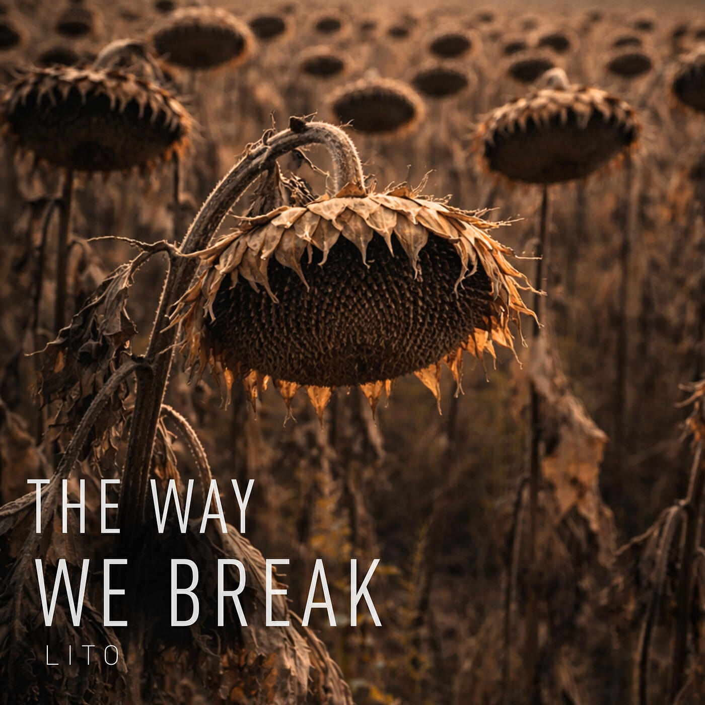 Релиз The Way We Break