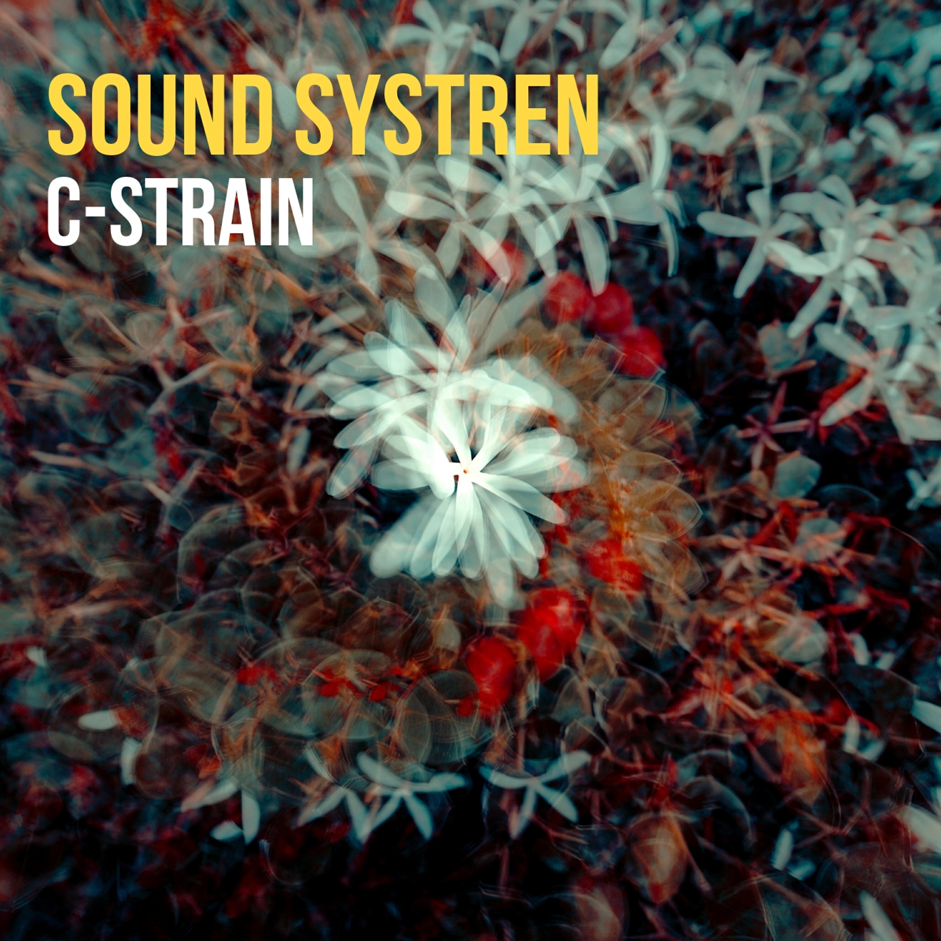 Релиз C-Strain