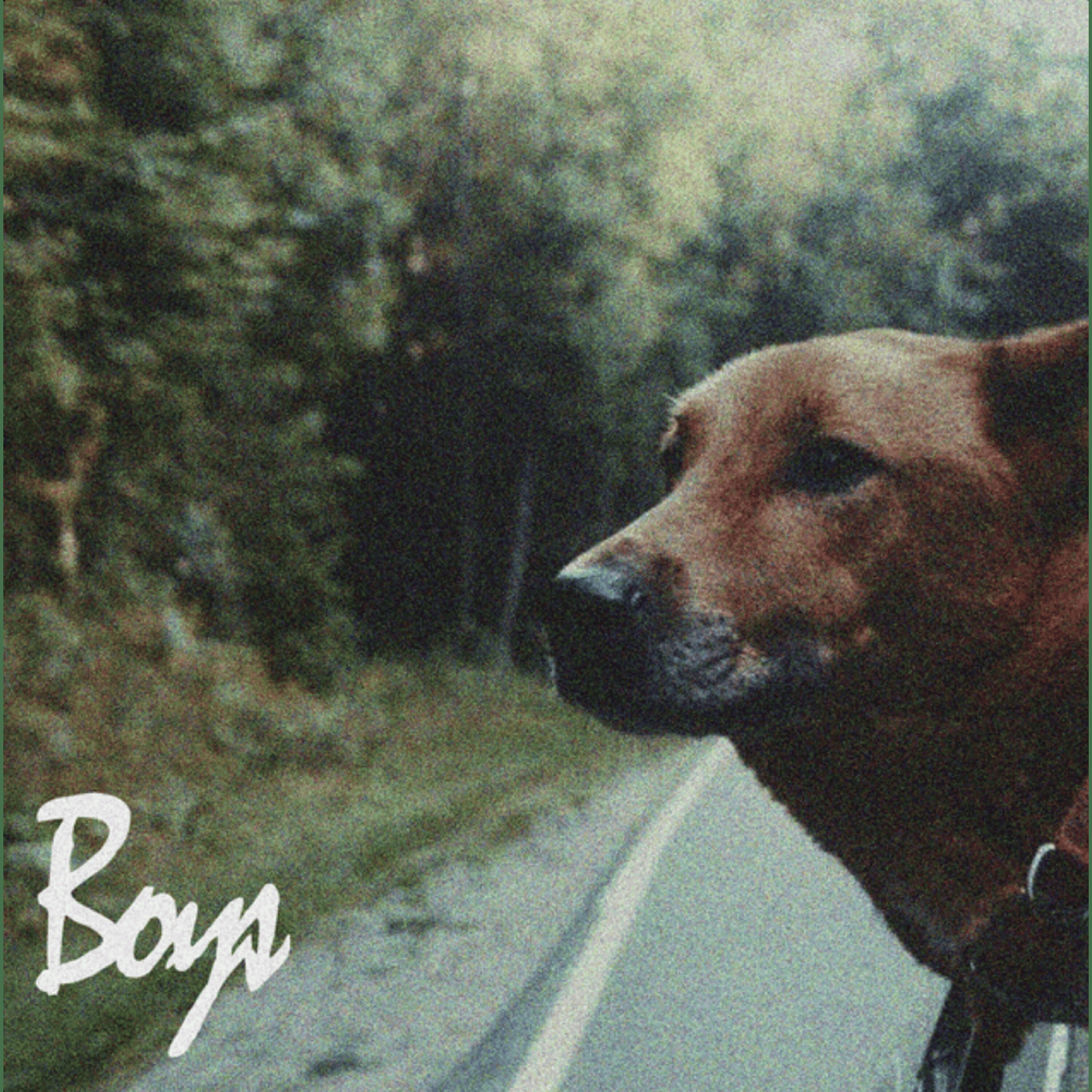 Релиз Boys