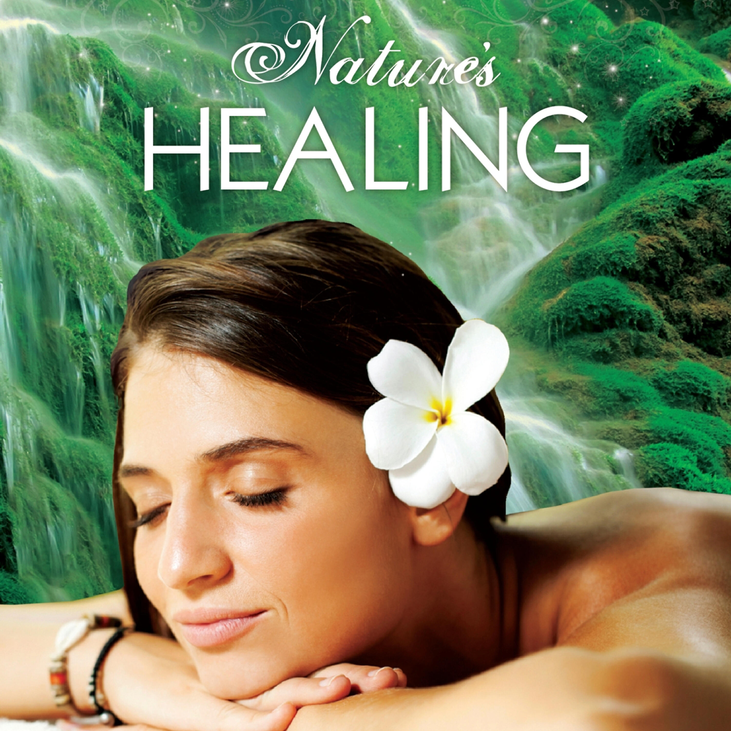 Релиз Nature's Healing
