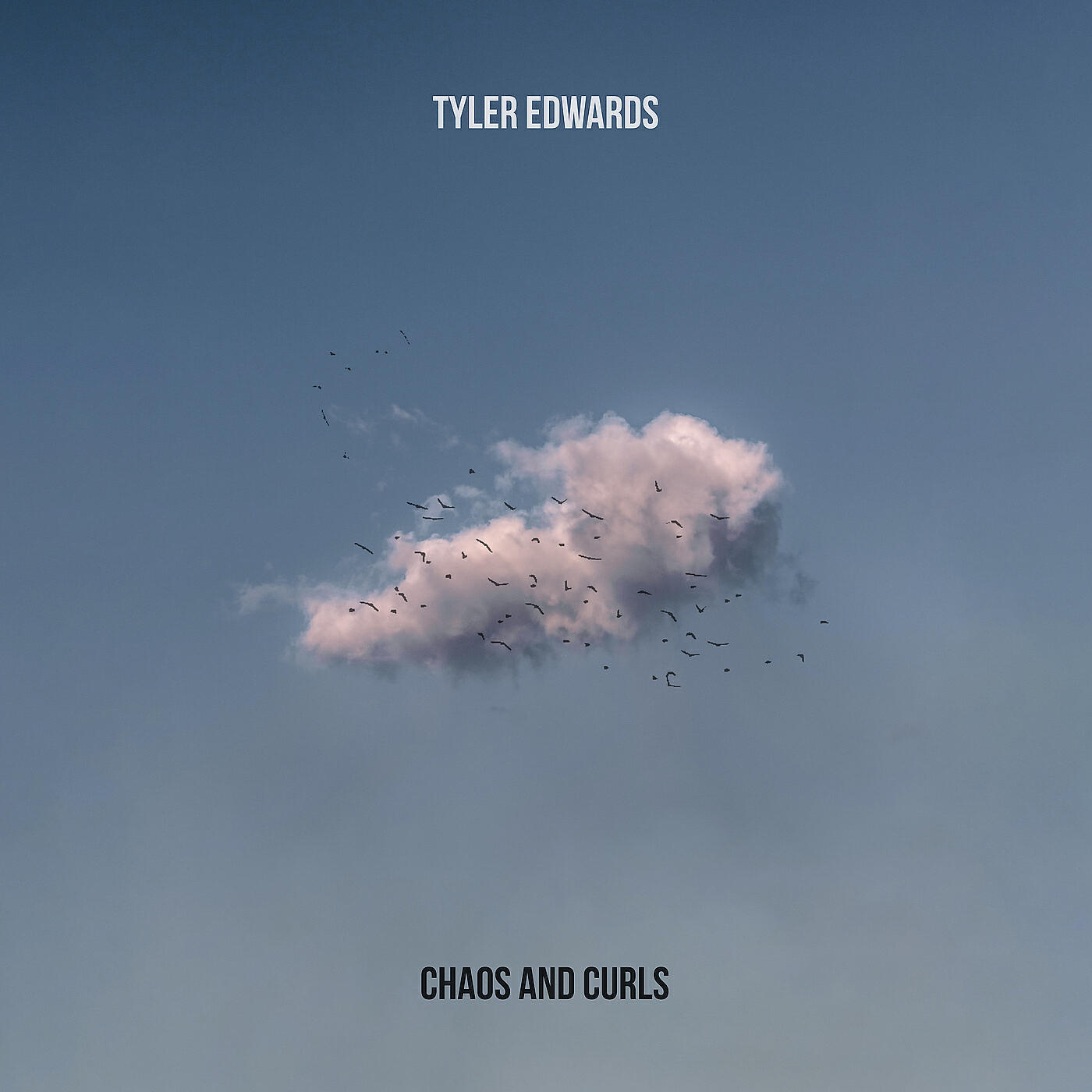Релиз Chaos and Curls